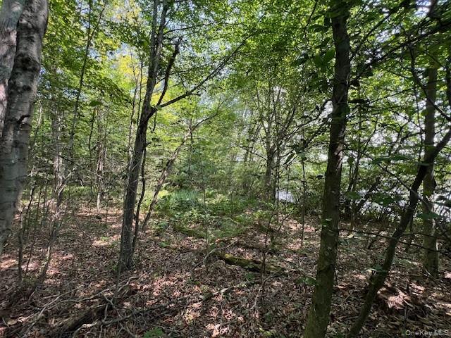 Lot 68 Shore Road – For Sale photo 7