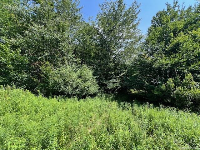 Lot 68 Shore Road – For Sale photo 8