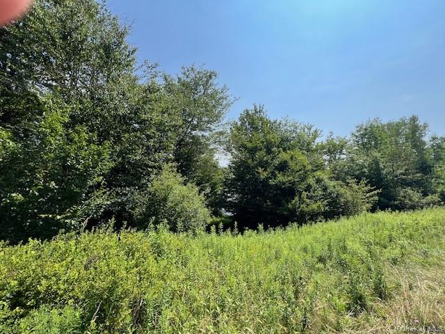 Lot 68 Shore Road – For Sale photo 4