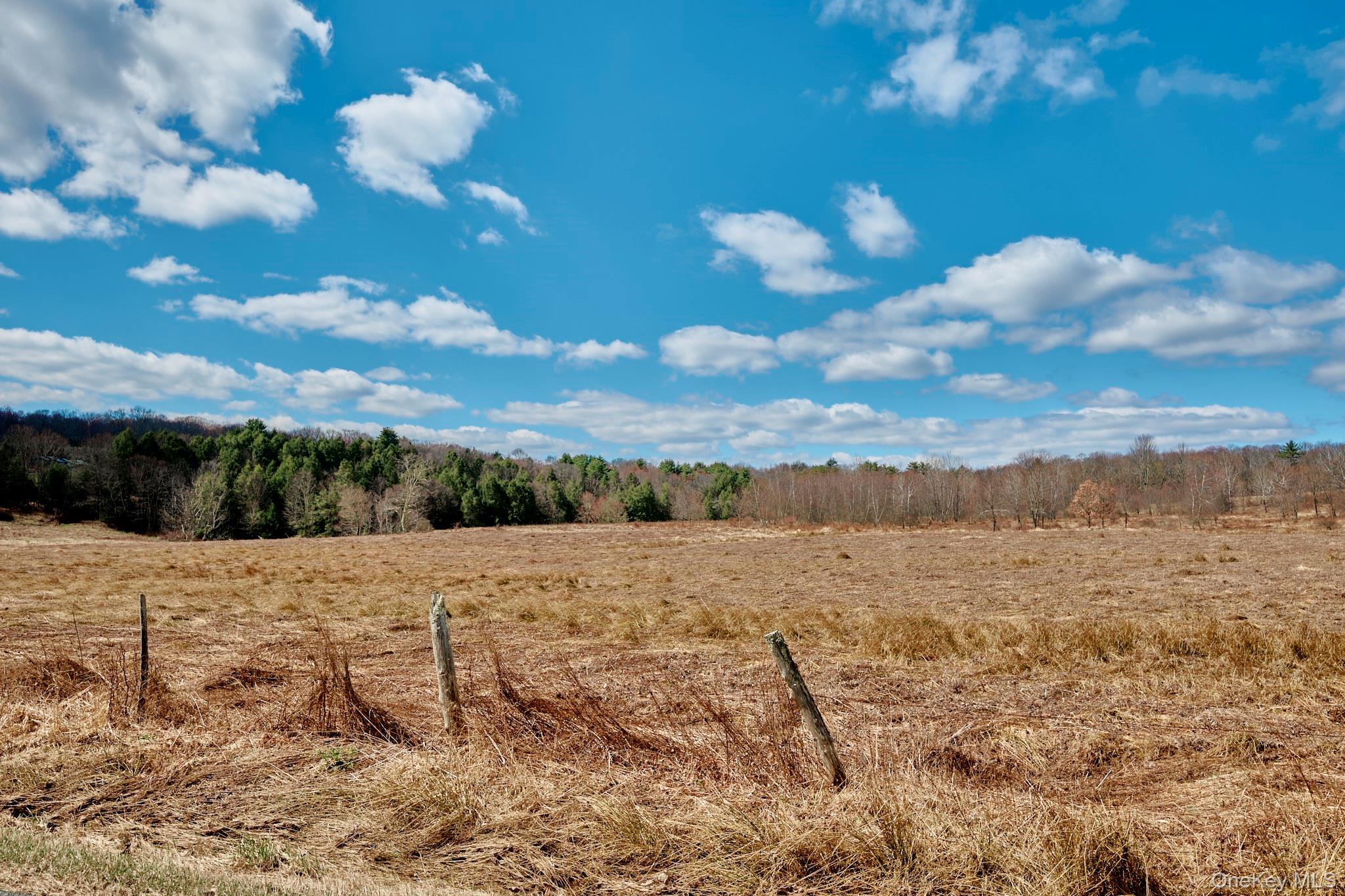 Lot 17.9 Shortcut Road – For Sale photo 3