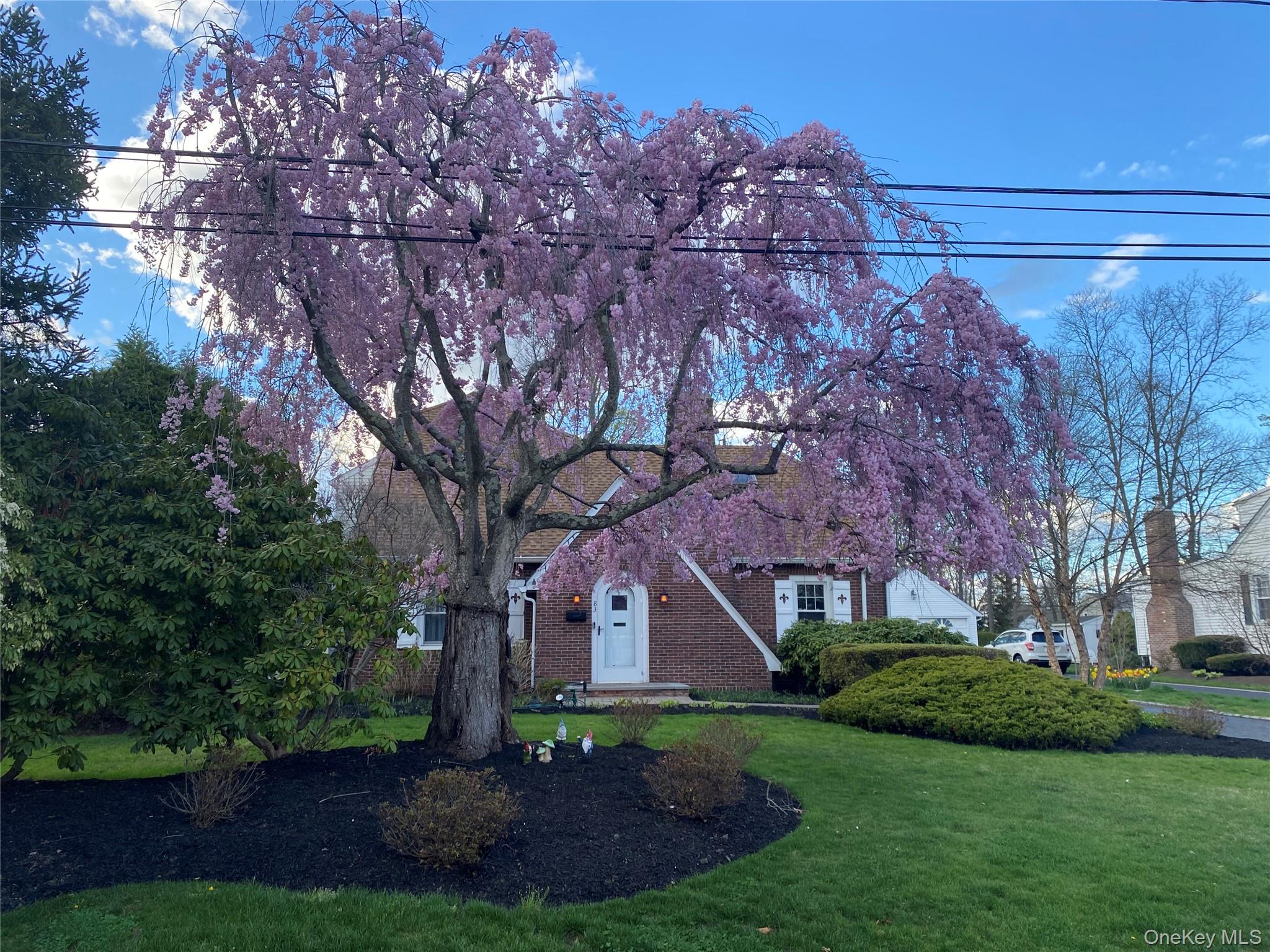 83 Village Line Road – For Sale