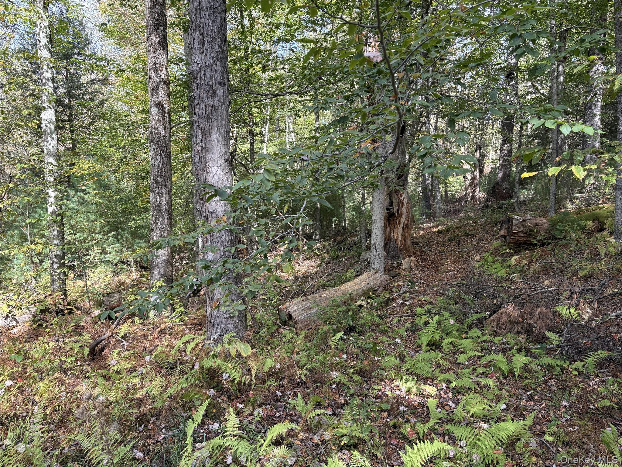 17 Lot 17 Desmond Crossing – For Sale photo 8
