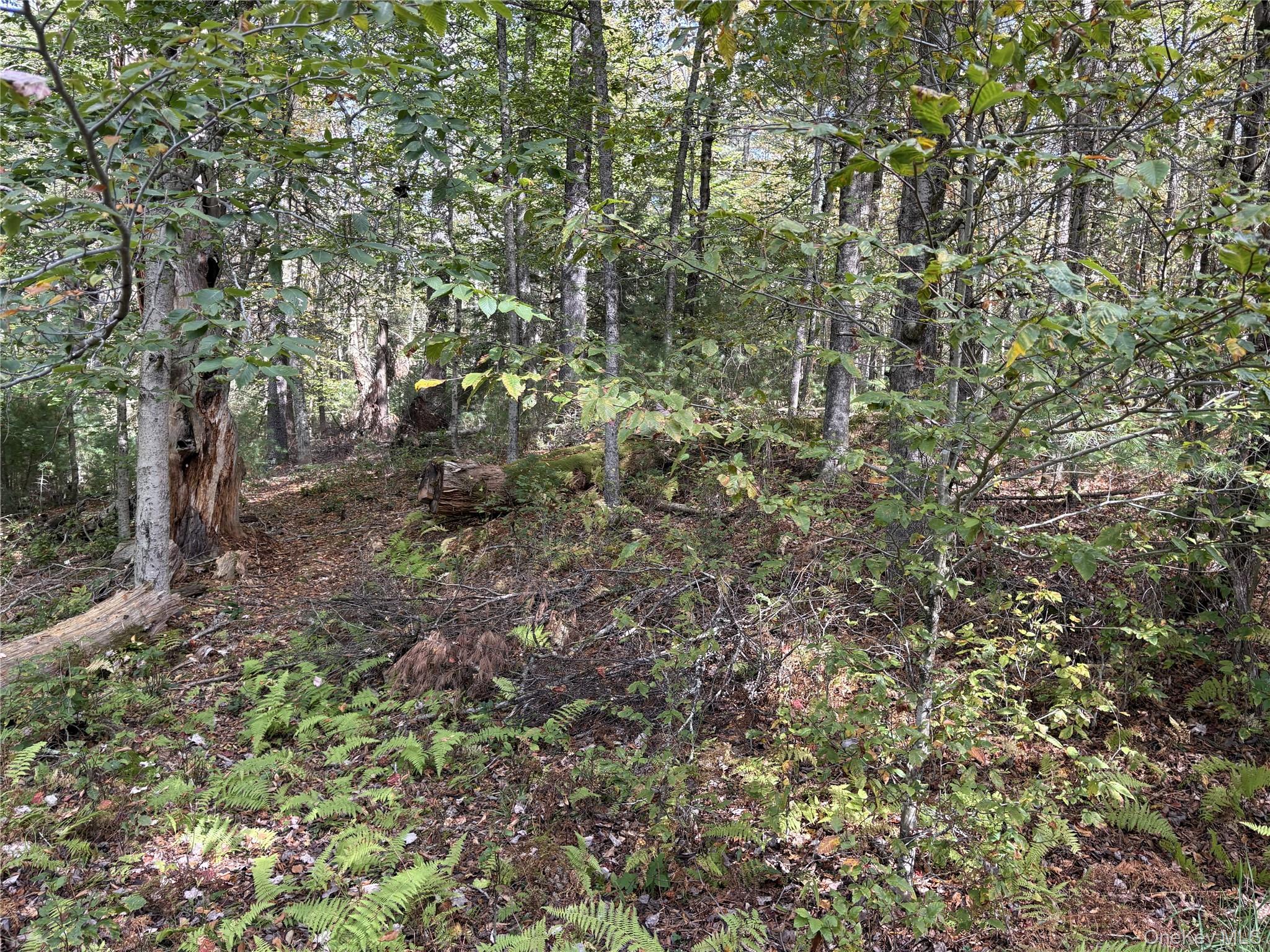 17 Lot 17 Desmond Crossing – For Sale photo 7