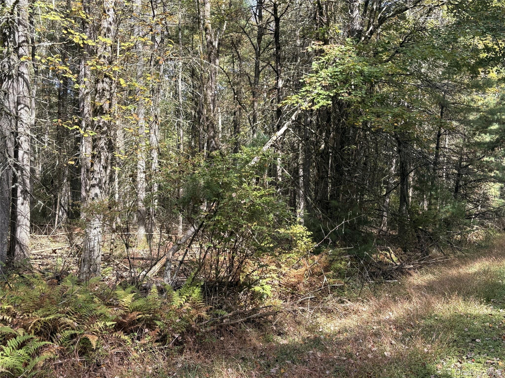 17 Lot 17 Desmond Crossing – For Sale photo 3