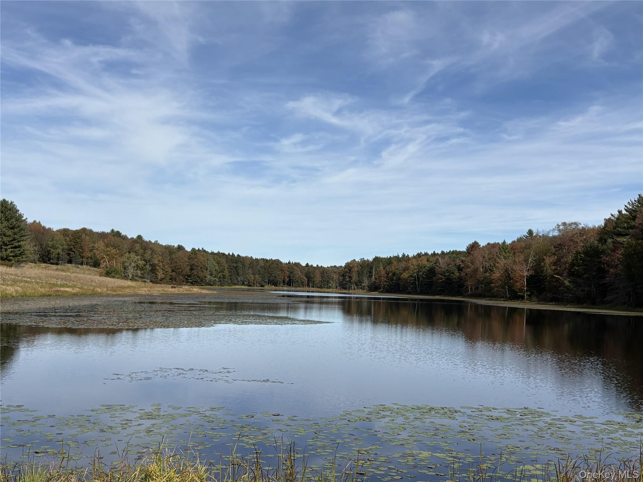 17 Lot 17 Desmond Crossing – For Sale photo 16