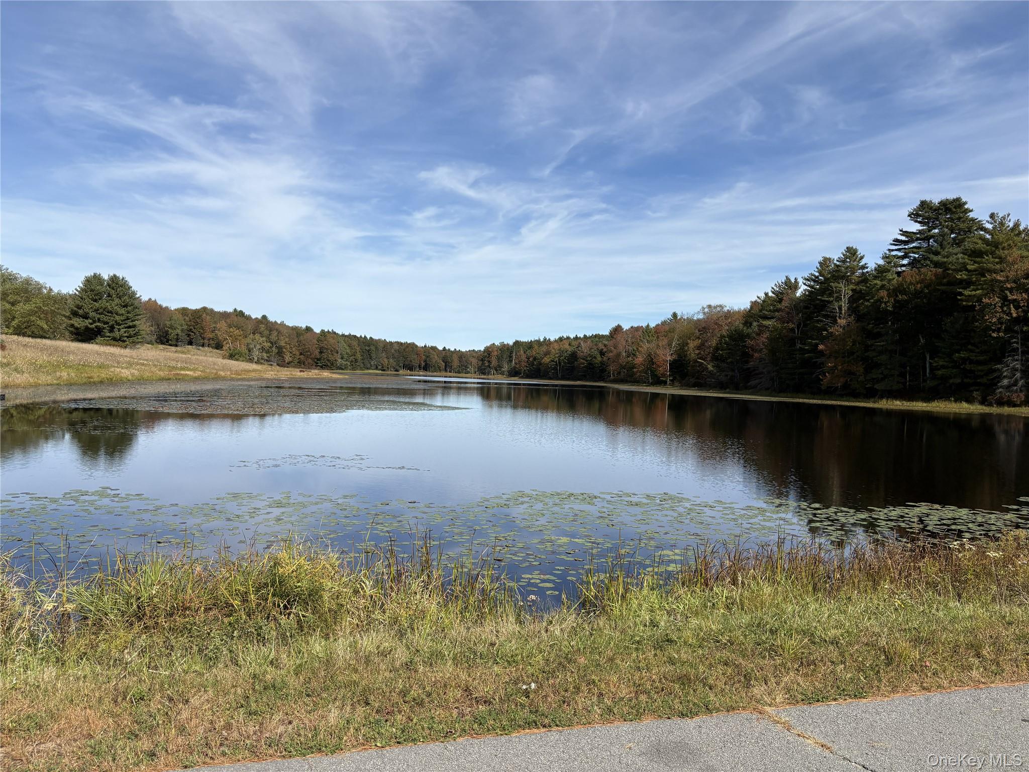 17 Lot 17 Desmond Crossing – For Sale photo 14
