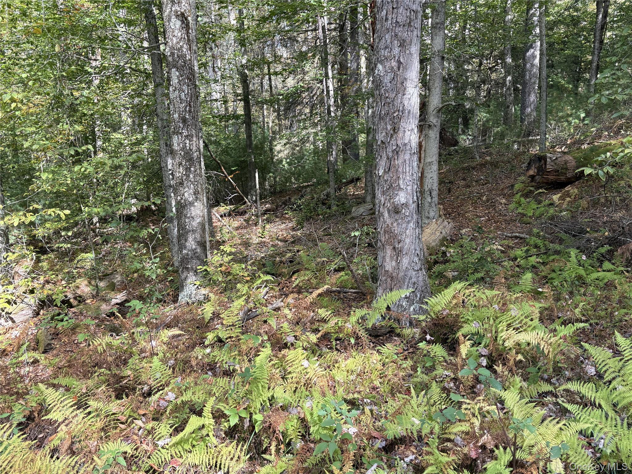 17 Lot 17 Desmond Crossing – For Sale photo 12