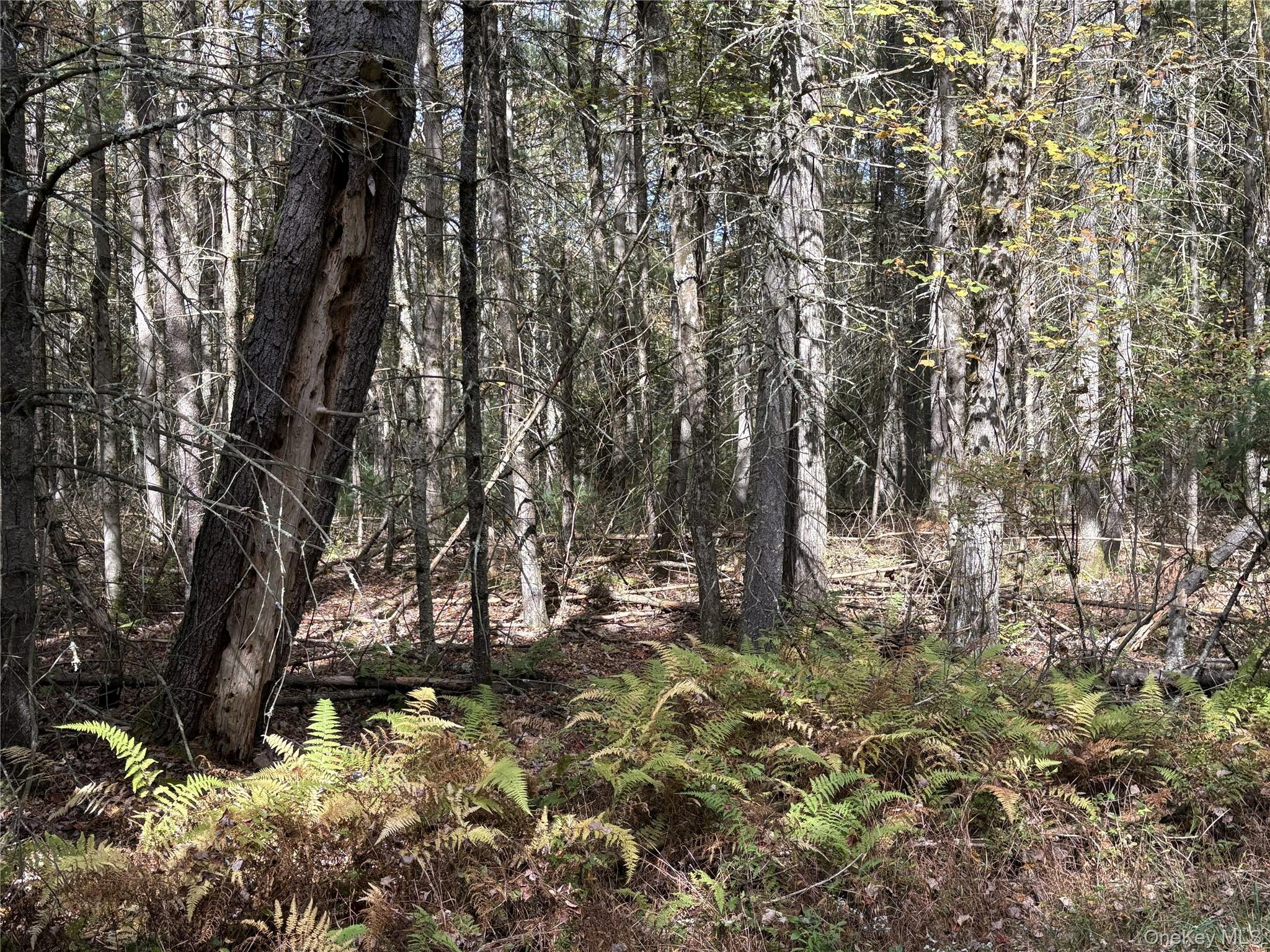 17 Lot 17 Desmond Crossing – For Sale photo 2