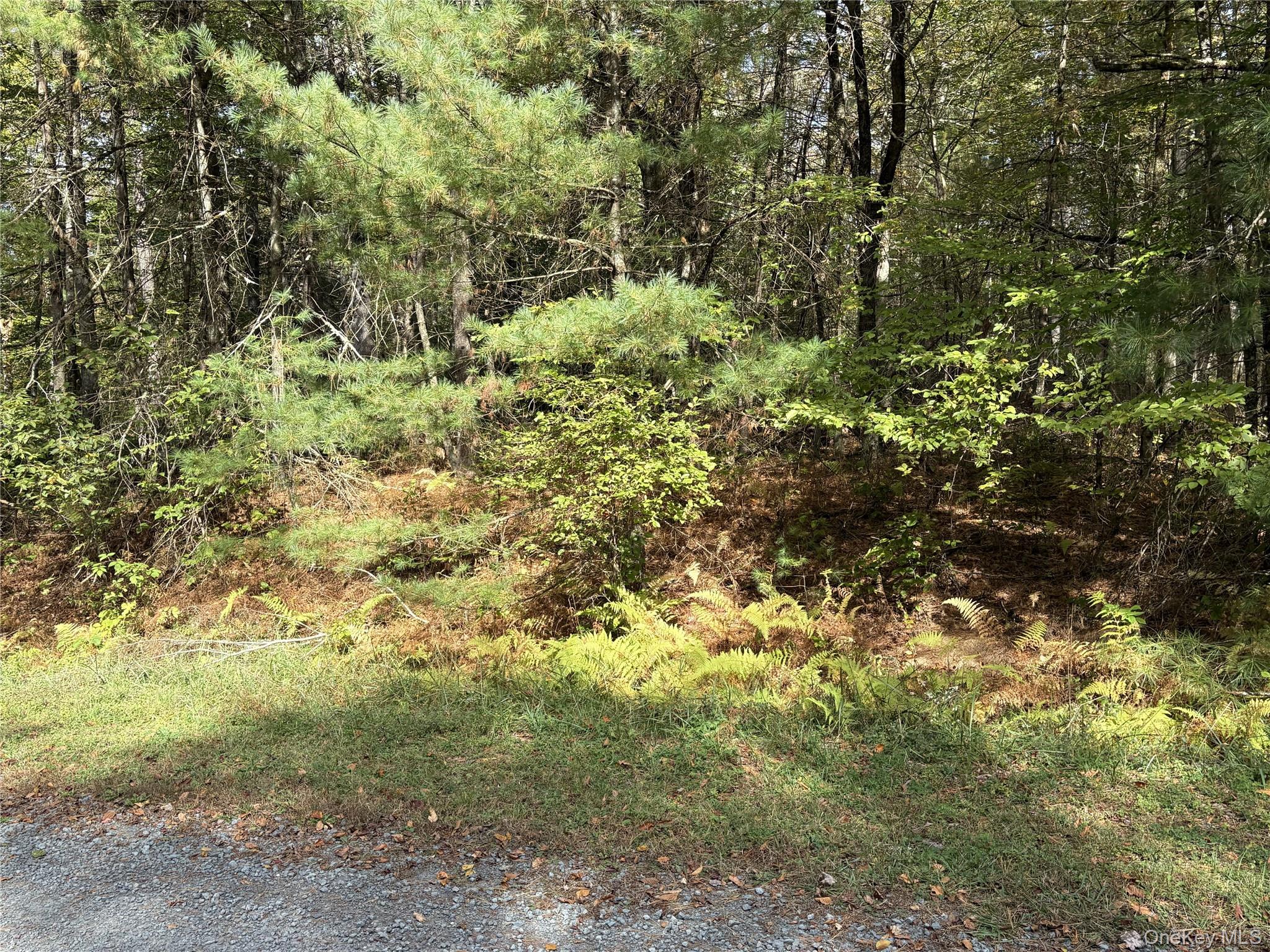 17 Lot 17 Desmond Crossing – For Sale photo 13