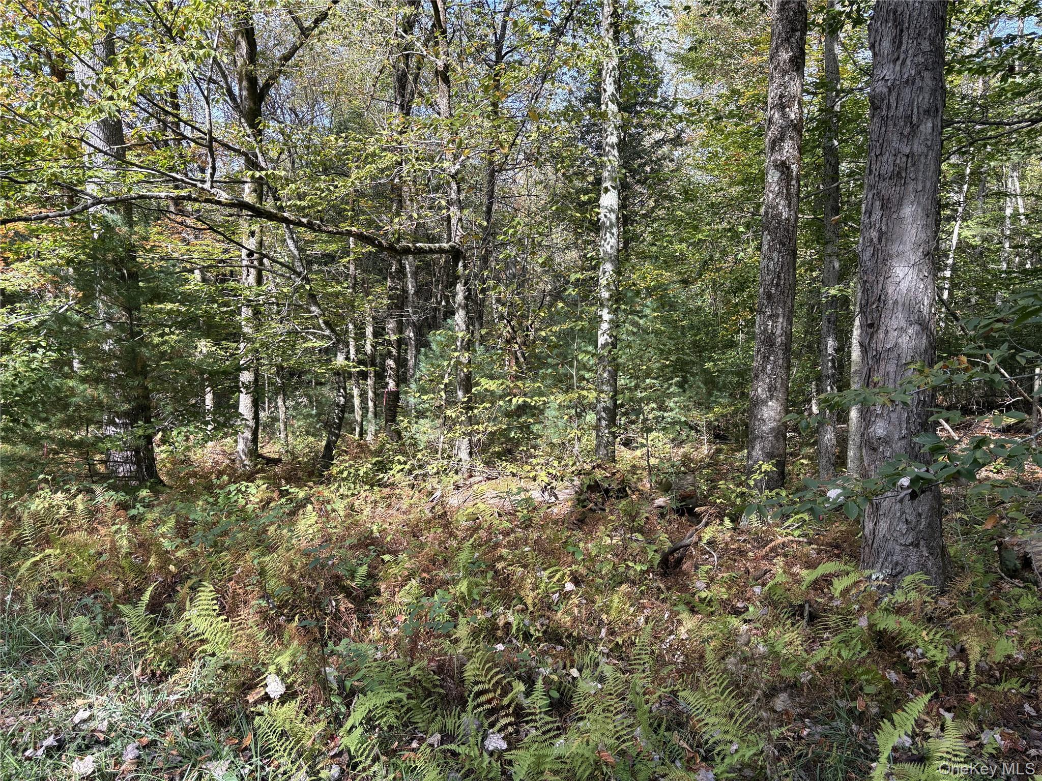 17 Lot 17 Desmond Crossing – For Sale photo 9