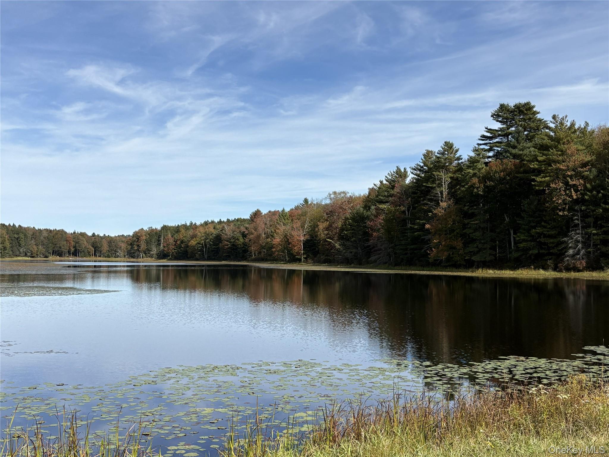 17 Lot 17 Desmond Crossing – For Sale photo 15