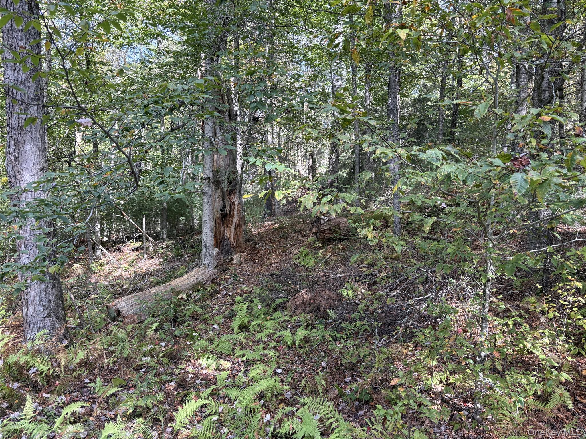 17 Lot 17 Desmond Crossing – For Sale photo 6