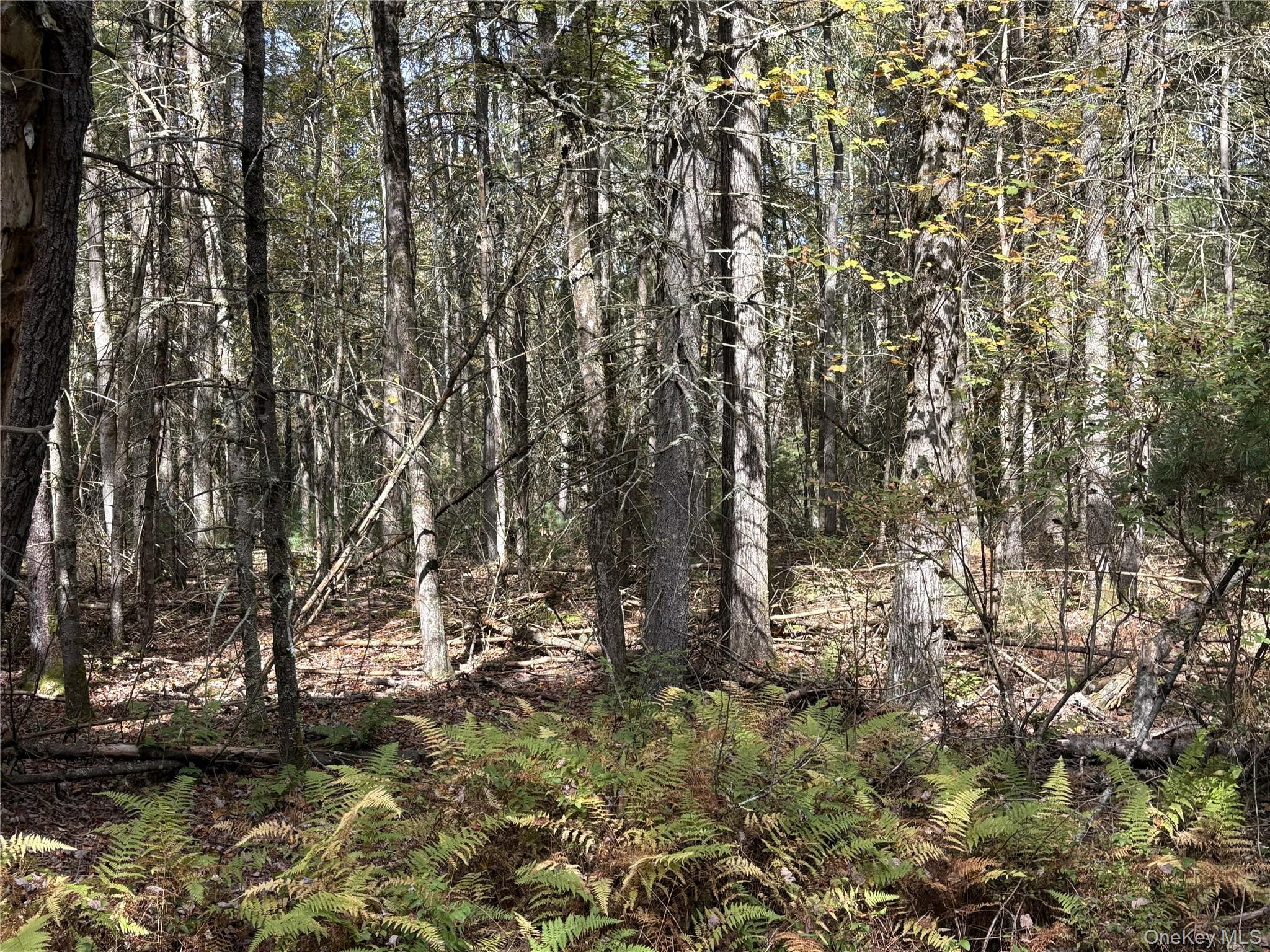 17 Lot 17 Desmond Crossing – For Sale photo 5