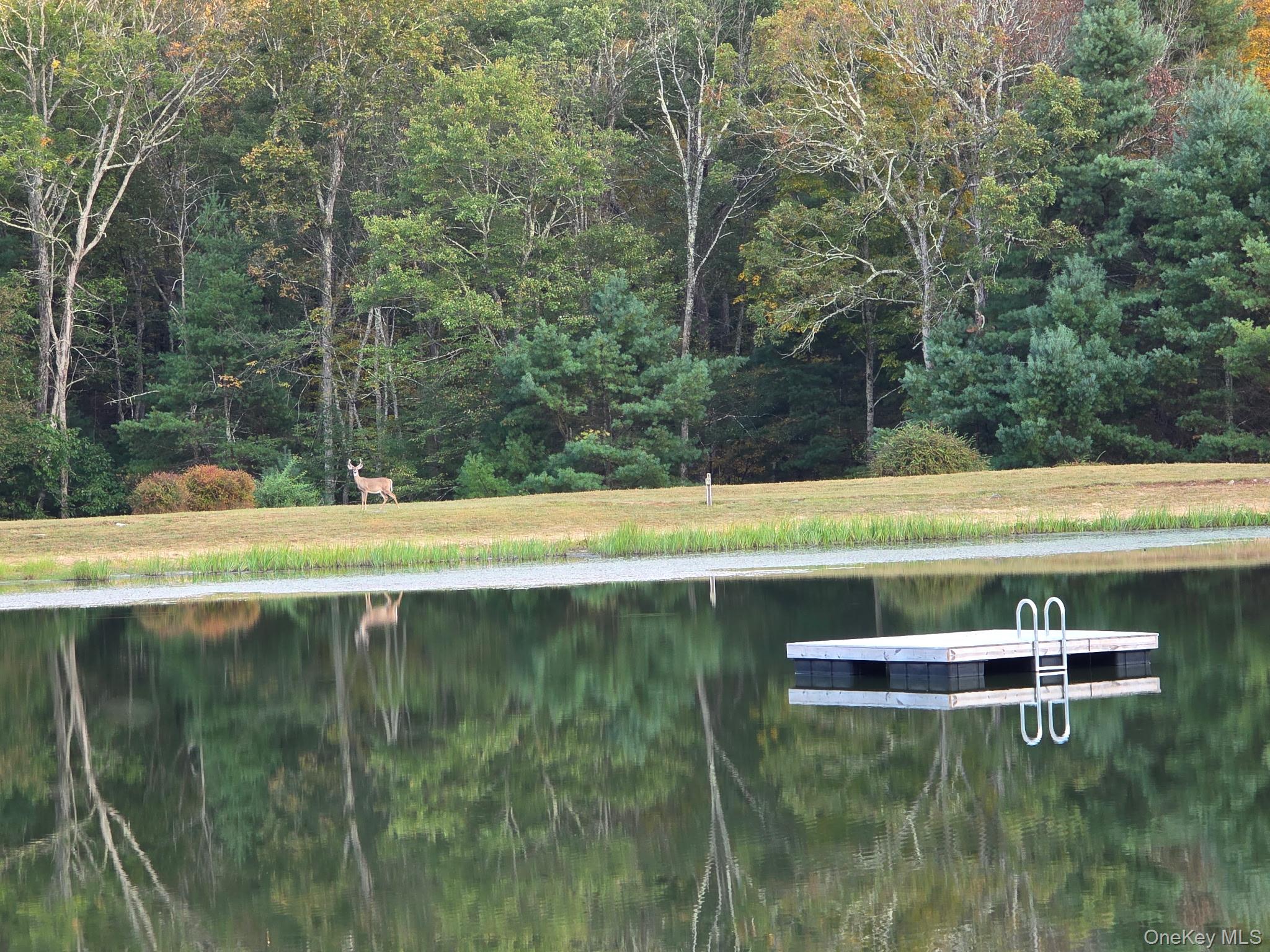 Split Rock Drive – For Sale