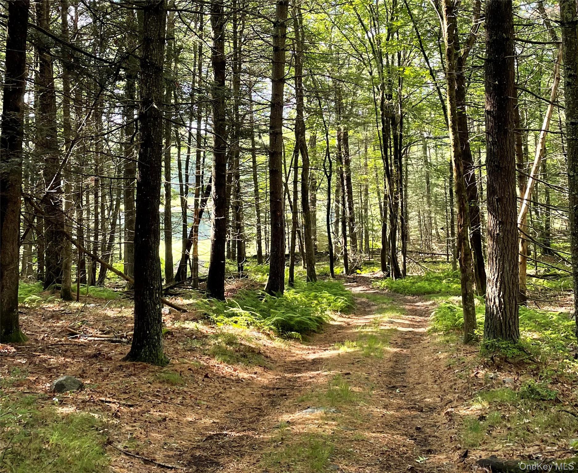 Split Rock Drive – For Sale photo 4