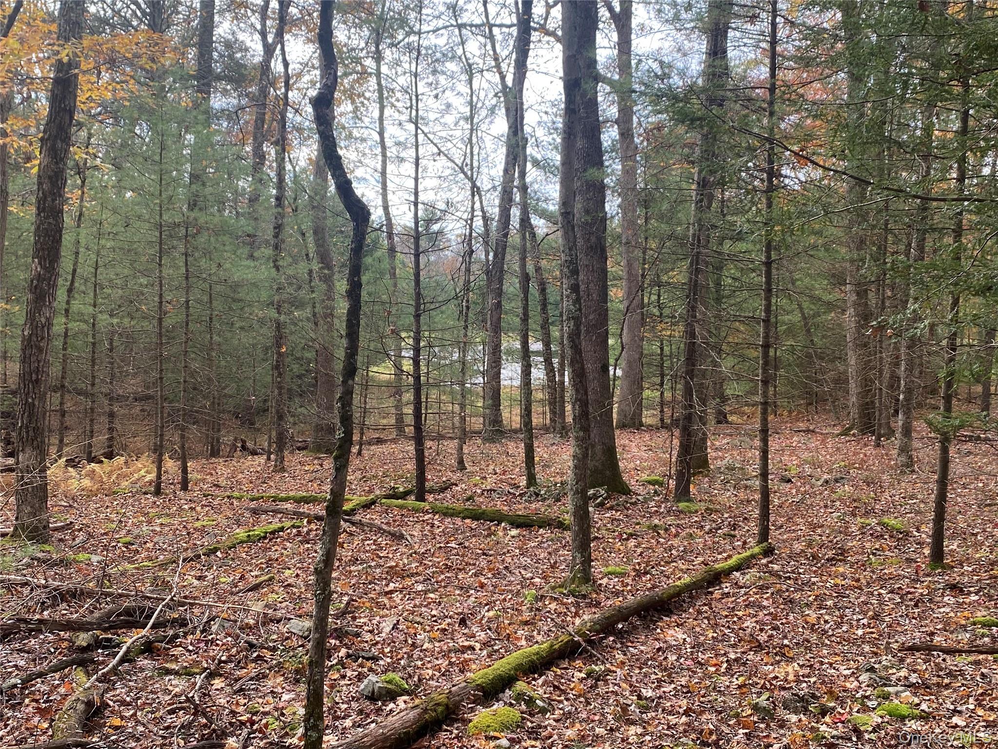 Split Rock Drive – For Sale photo 5