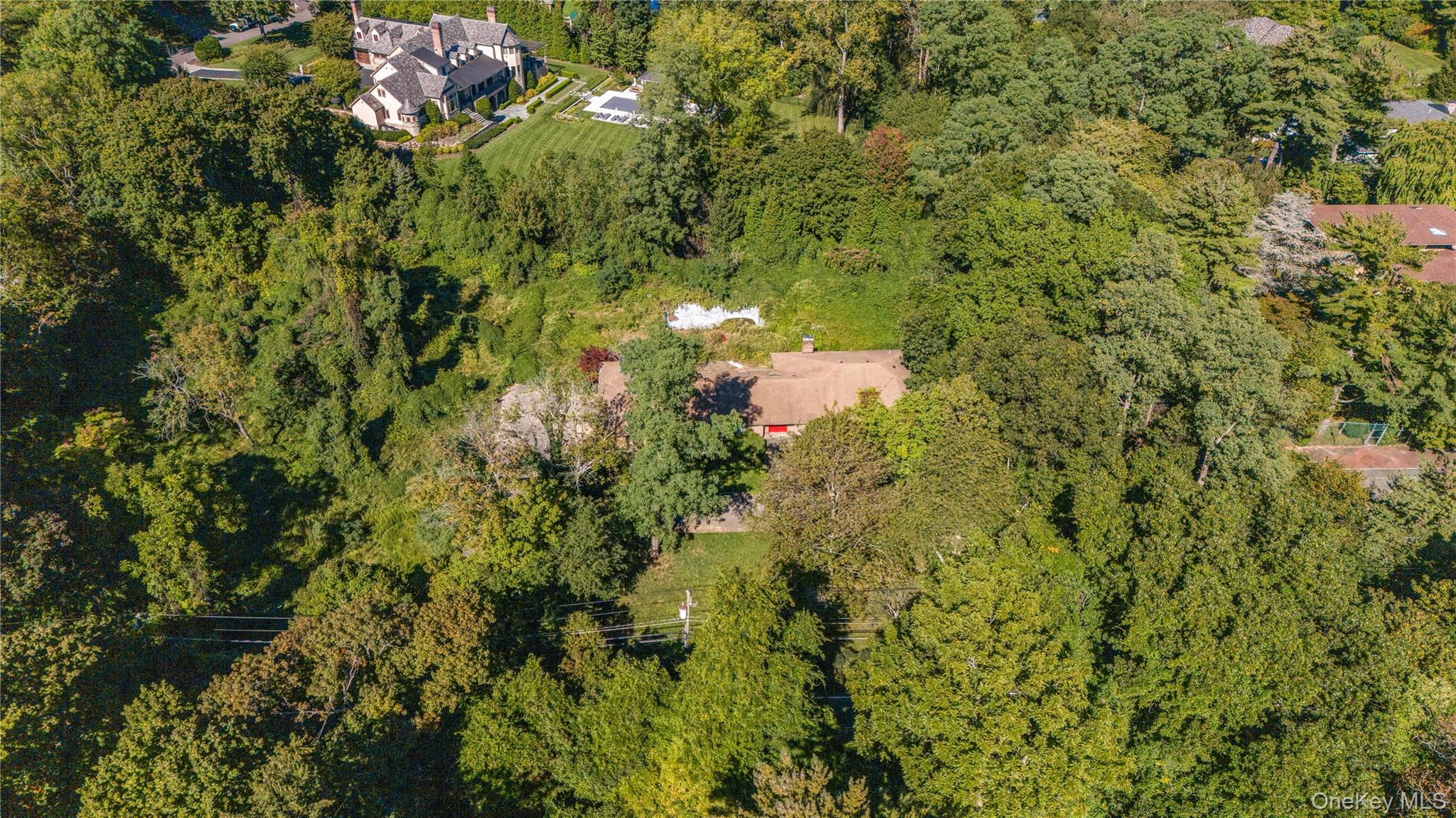 169 Middle Neck Road – For Sale photo 5