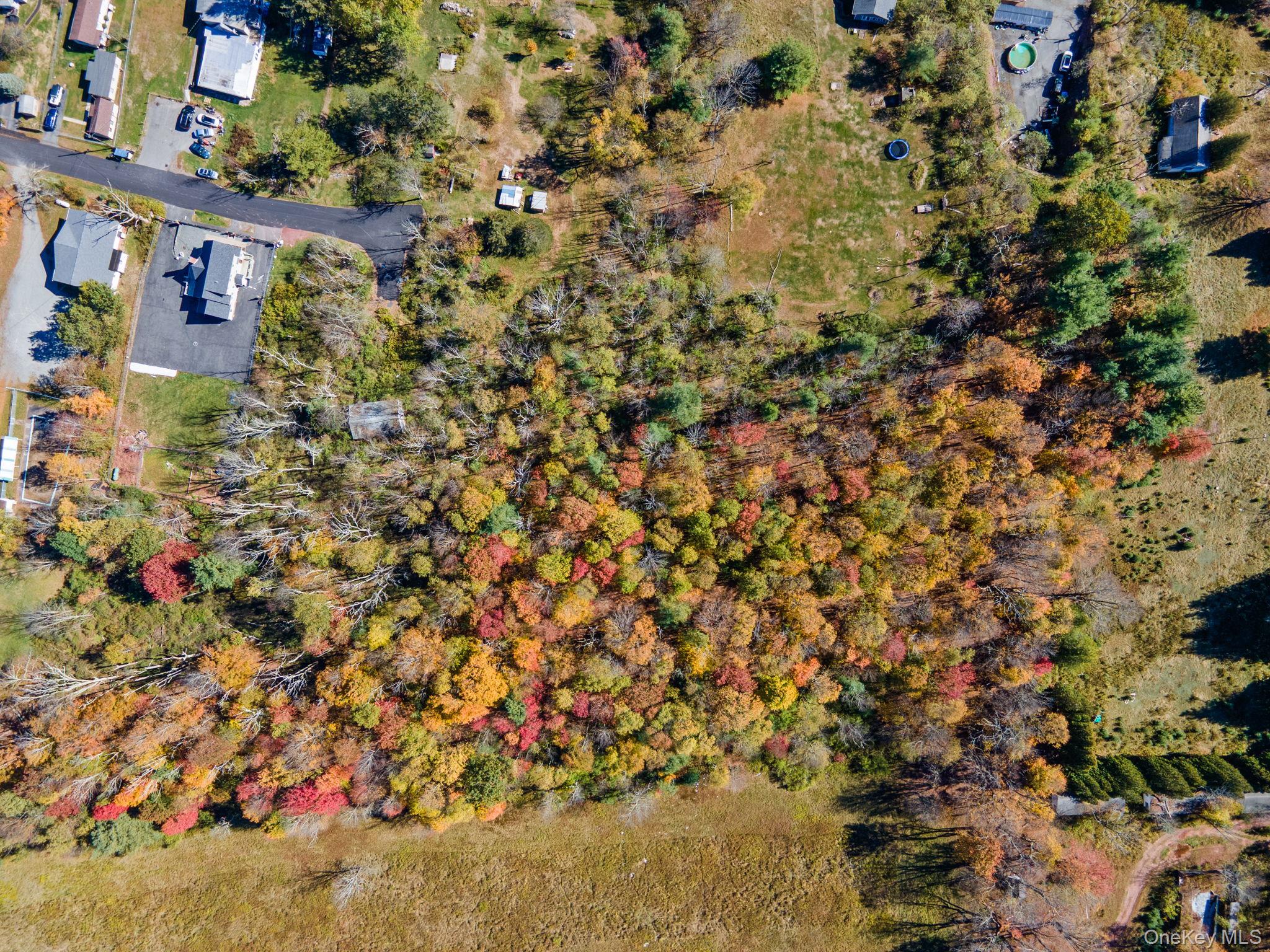 Highland Avenue – For Sale photo 2