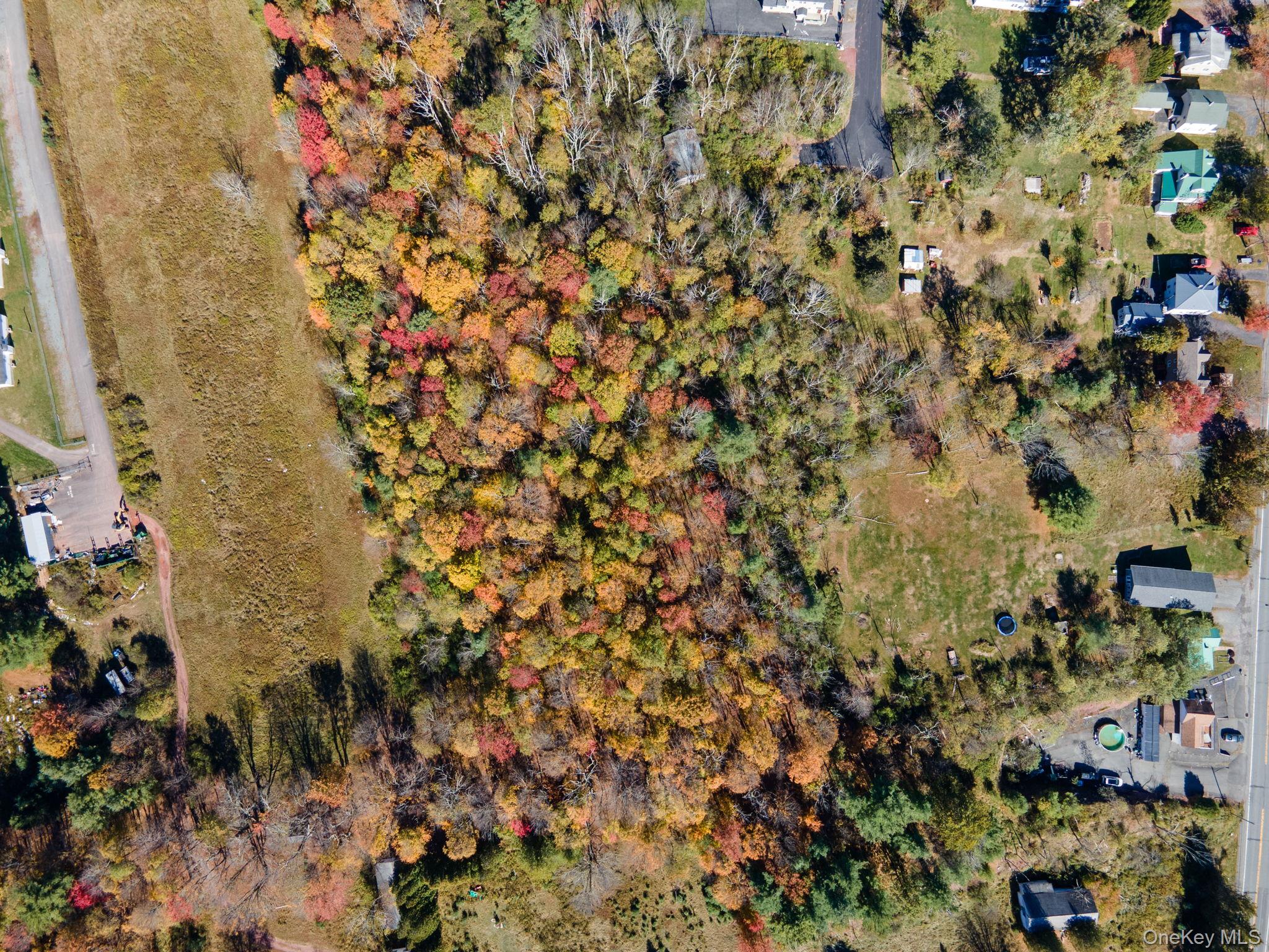 Highland Avenue – For Sale photo 3