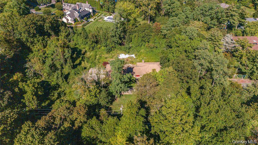 169 Middle Neck Road – For Sale photo 5