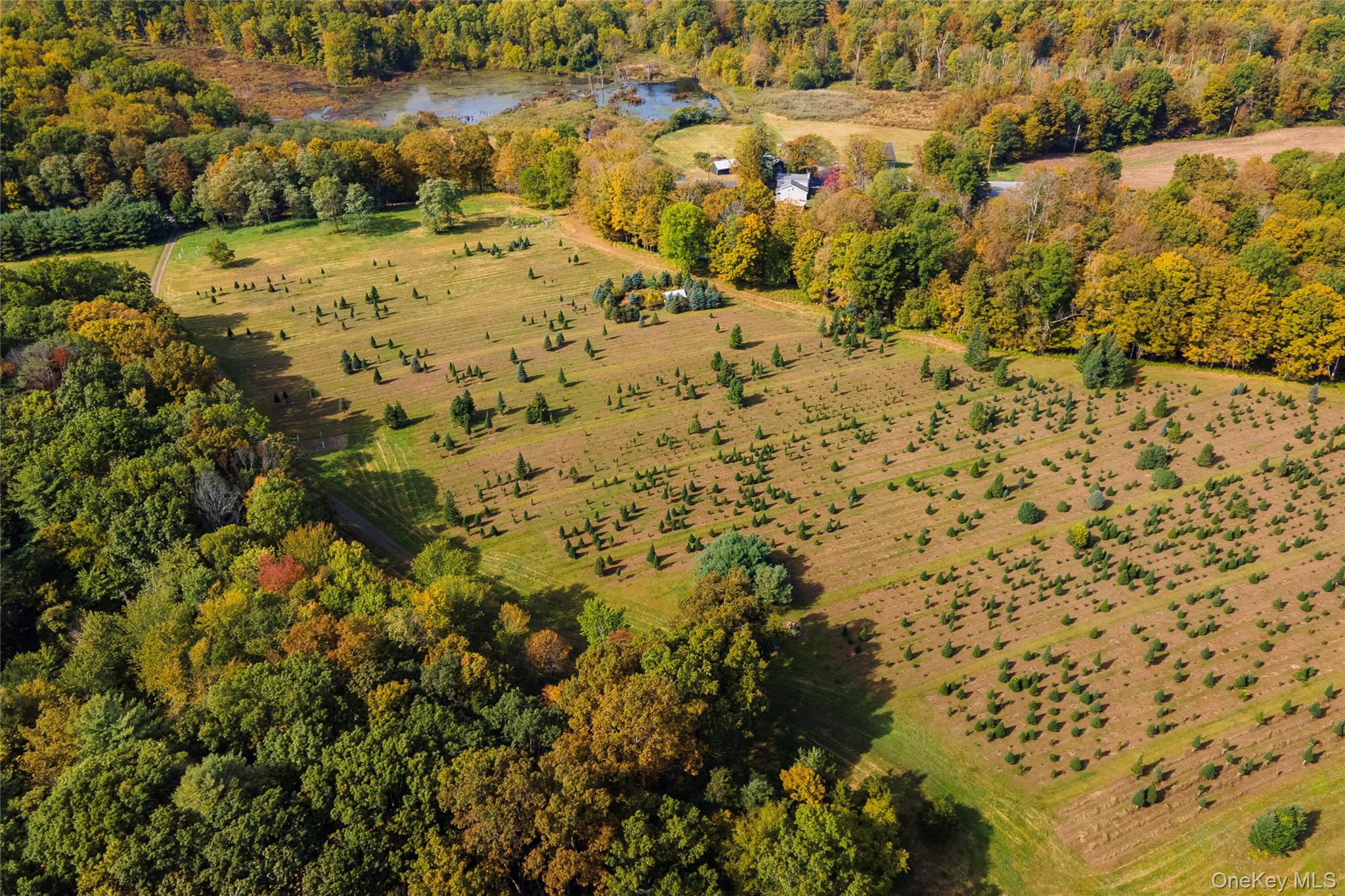 191 White Schoolhouse Rd – For Sale photo 35
