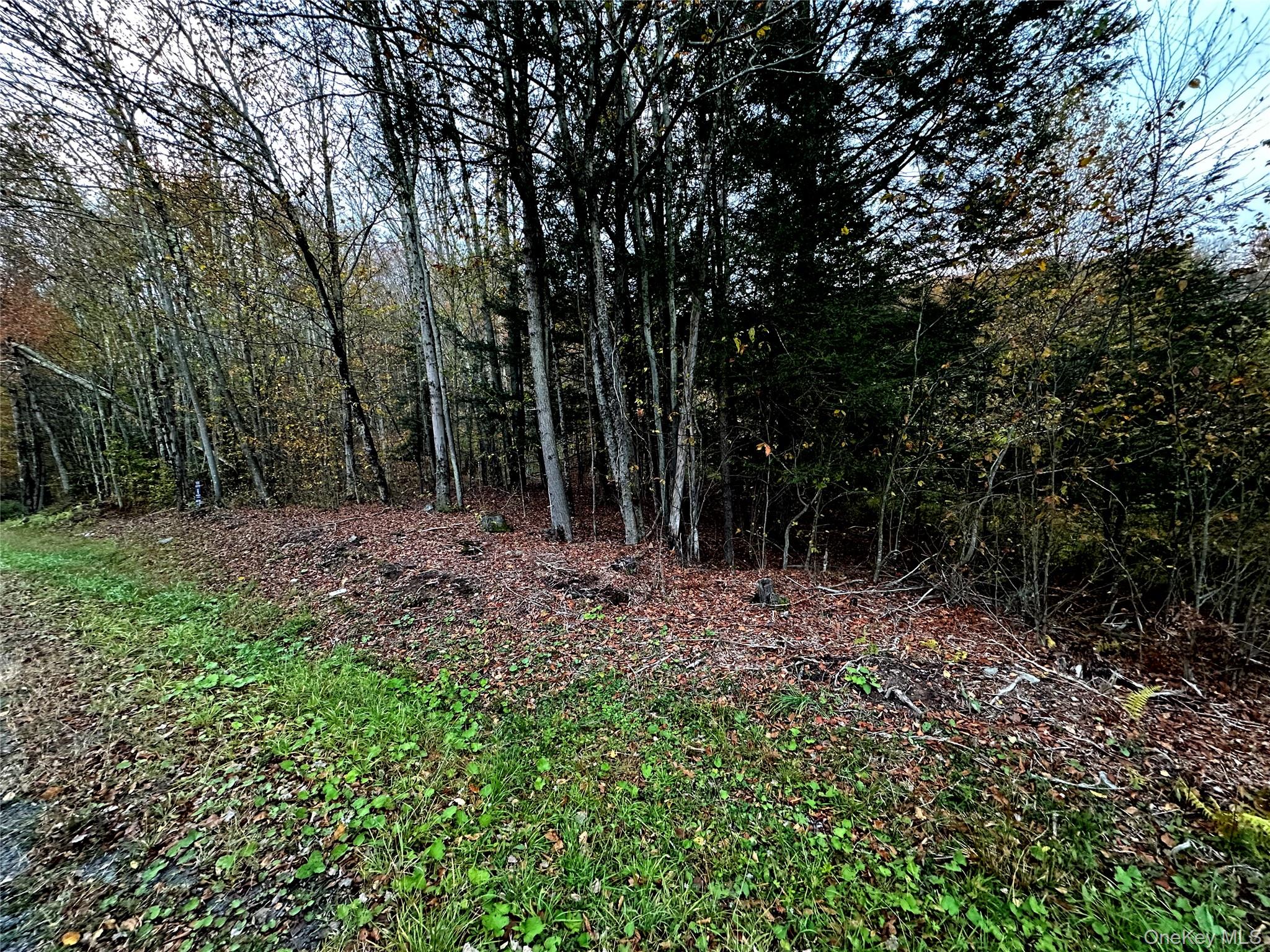 TBD Hysana Road – For Sale photo 10