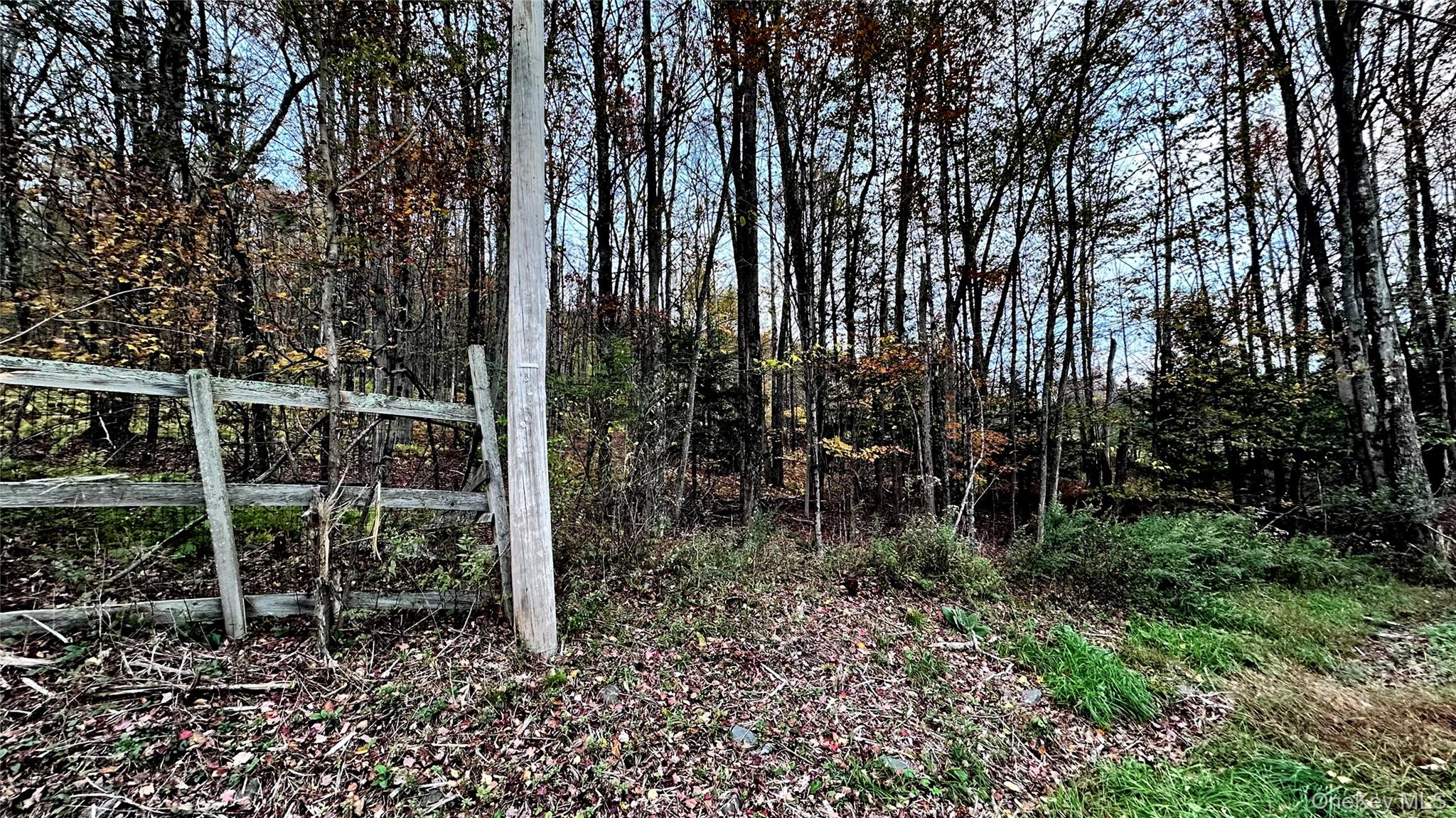 TBD Hysana Road – For Sale photo 2