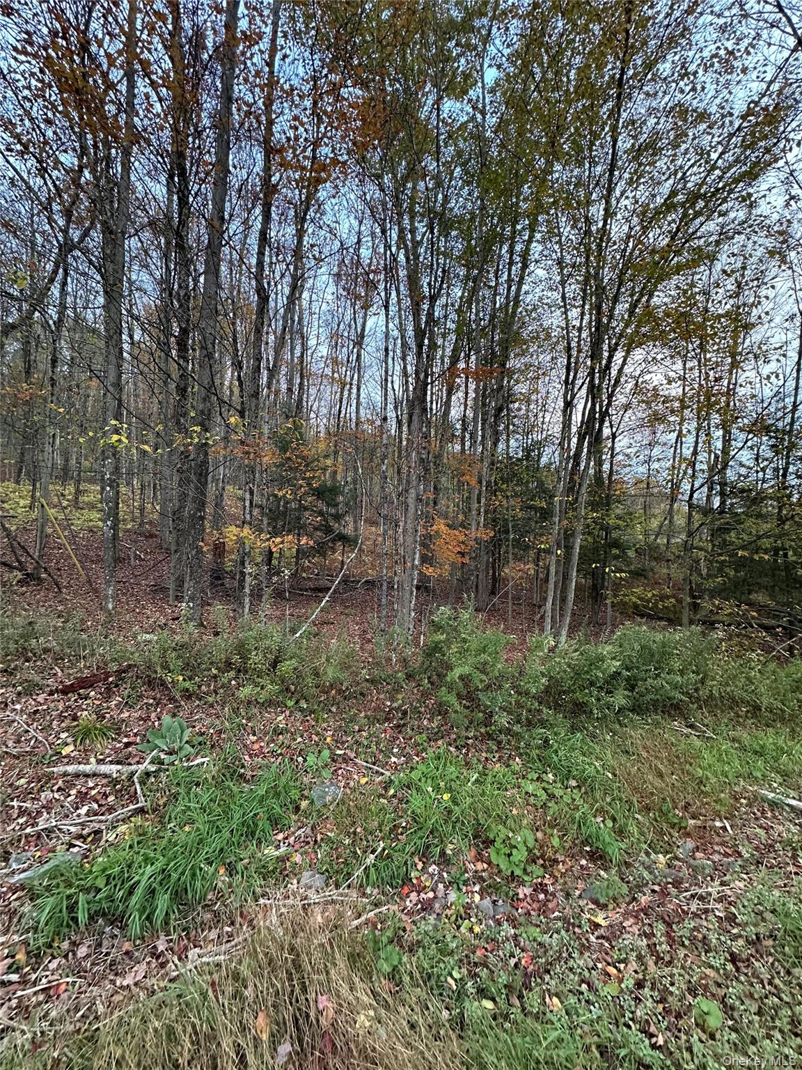 TBD Hysana Road – For Sale photo 9