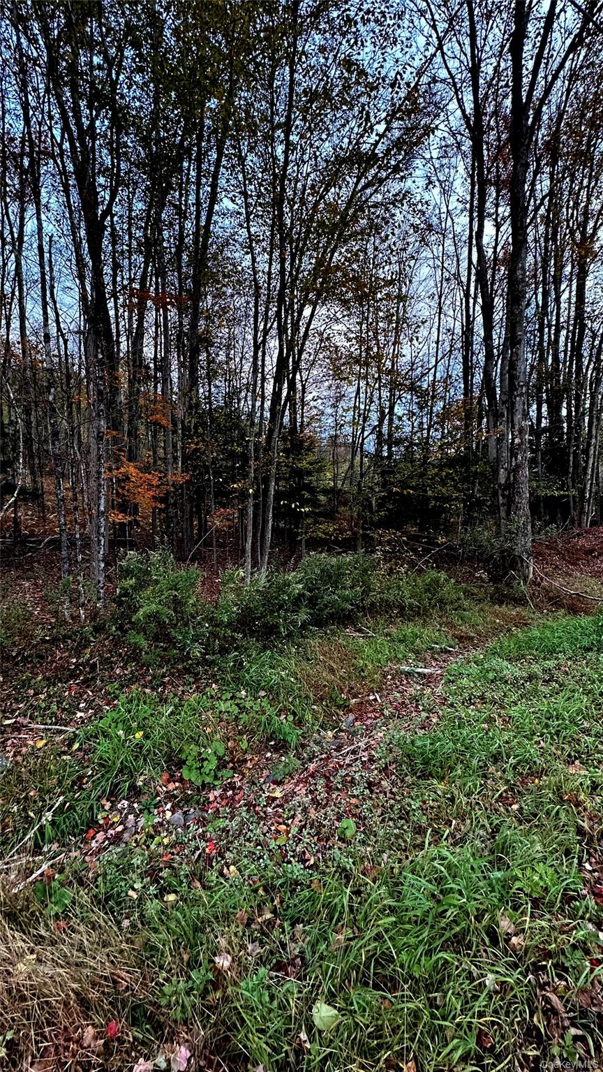 TBD Hysana Road – For Sale photo 7