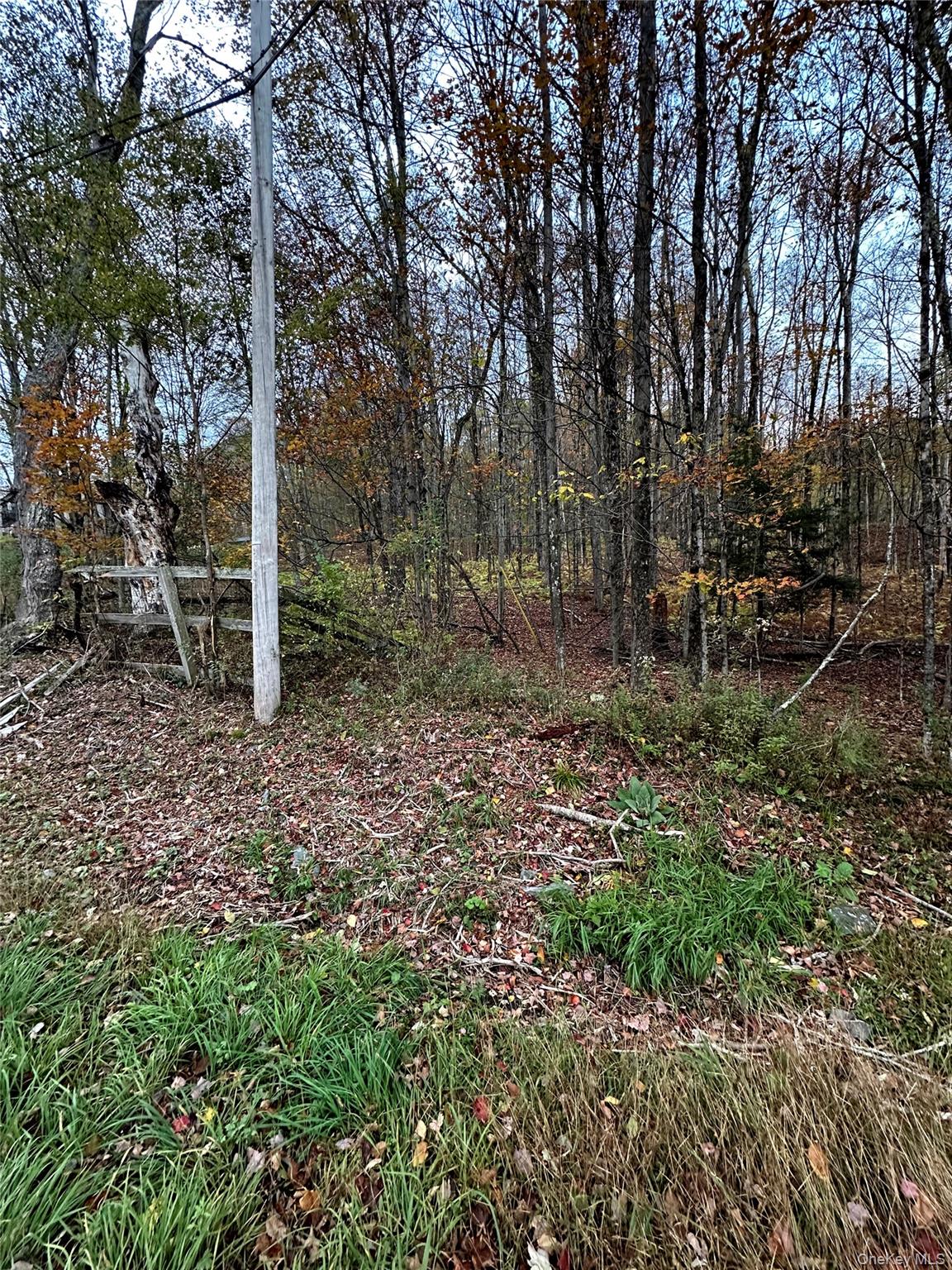 TBD Hysana Road – For Sale photo 4