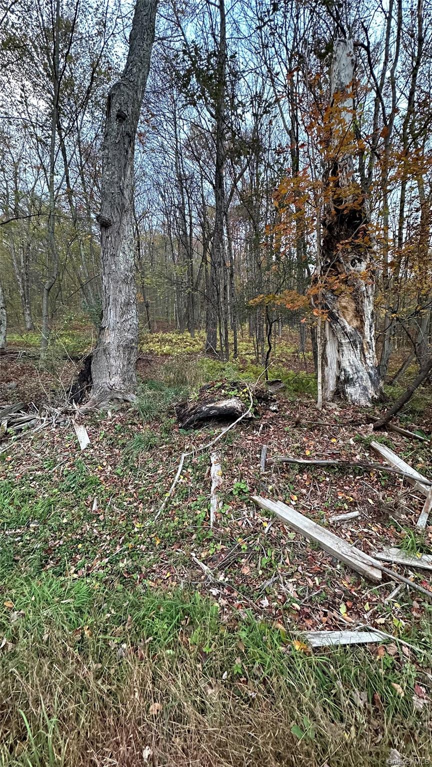 TBD Hysana Road – For Sale photo 5