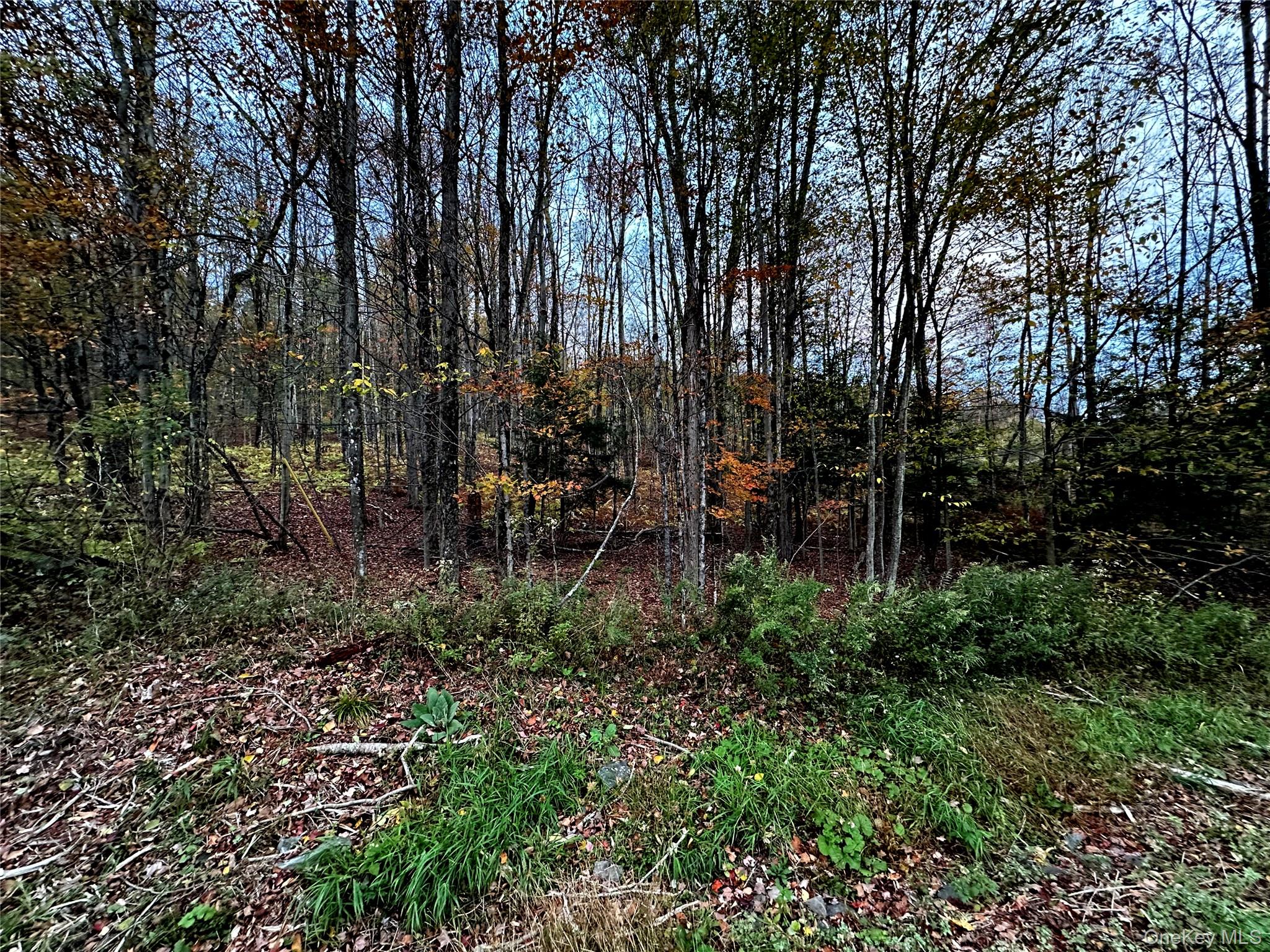 TBD Hysana Road – For Sale photo 8