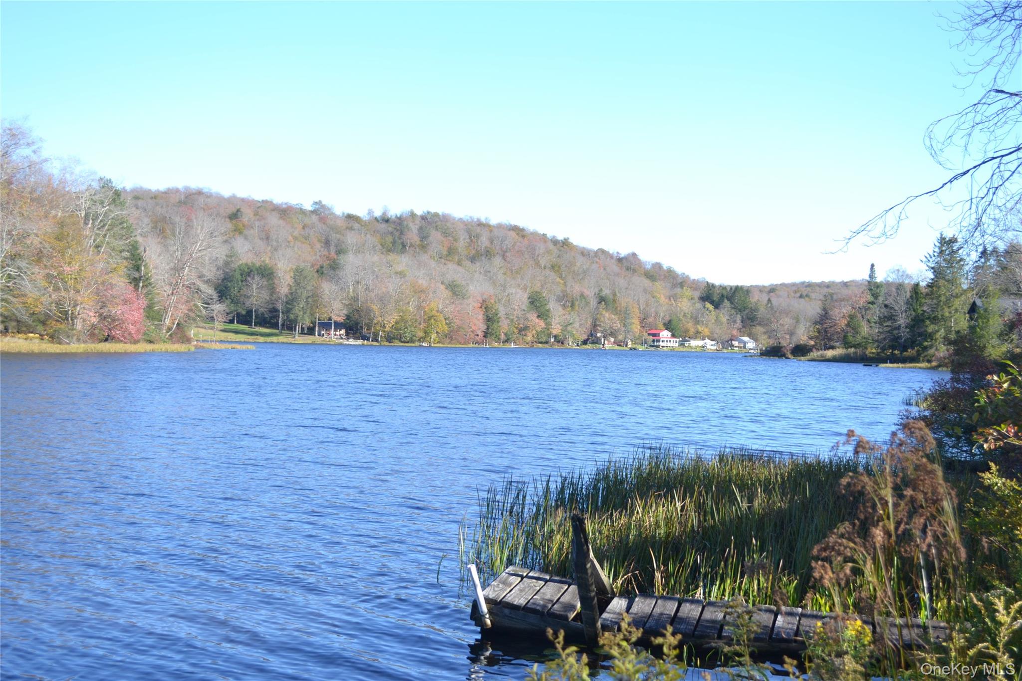 238 Trout Brook Road – For Sale photo 32