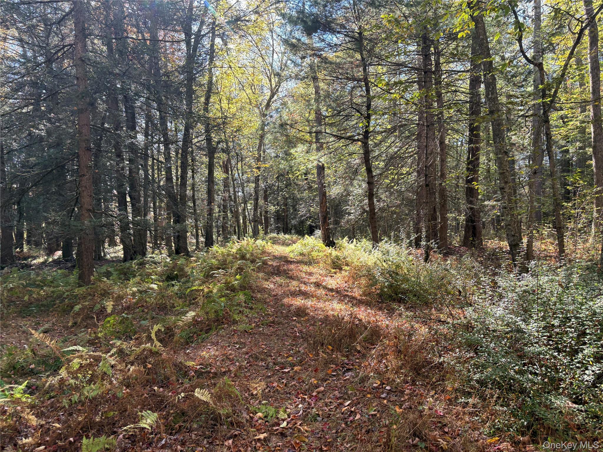 Lot 4 Deer Meadow Road – For Sale photo 10