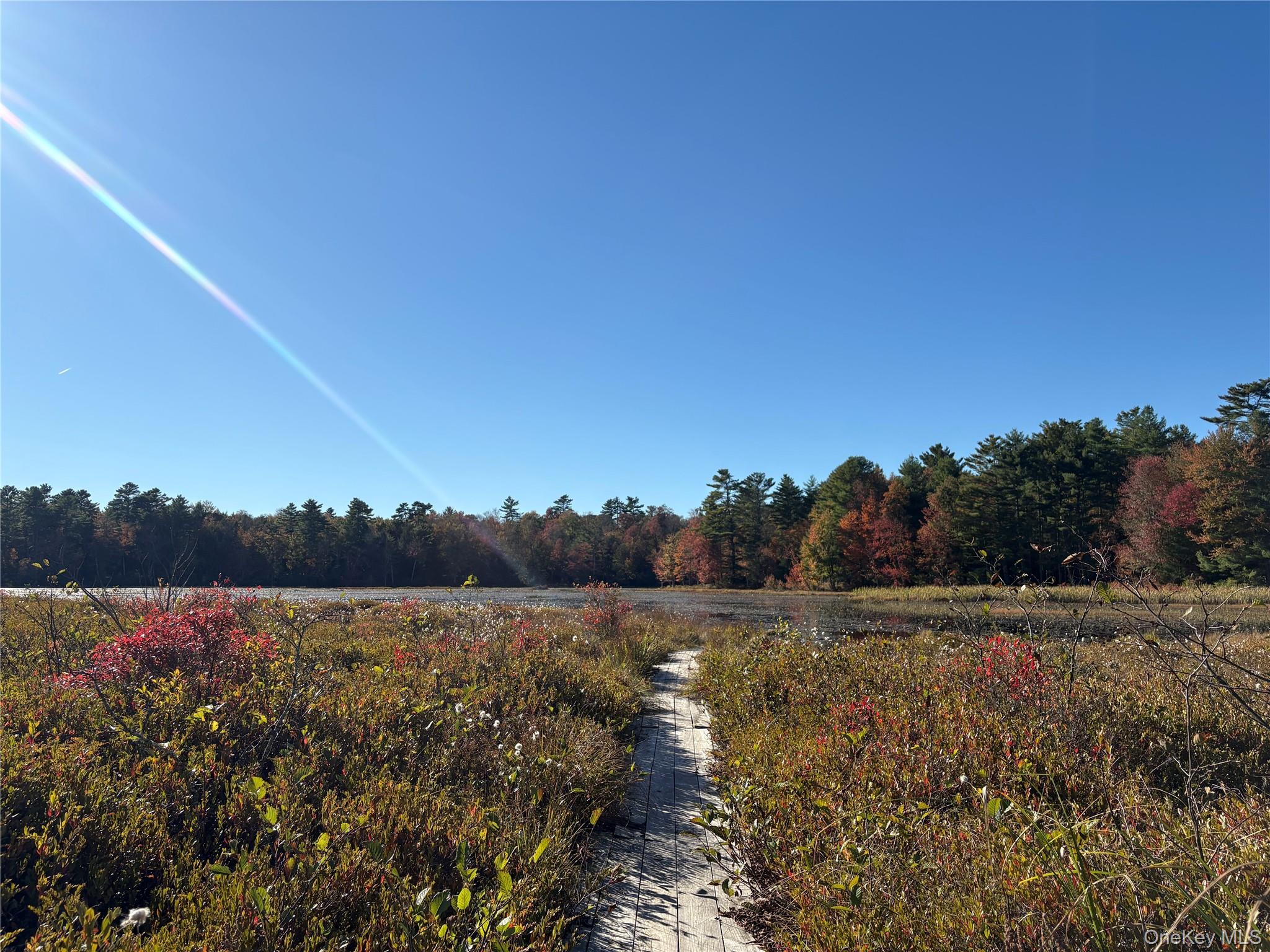Lot 4 Deer Meadow Road – For Sale photo 5