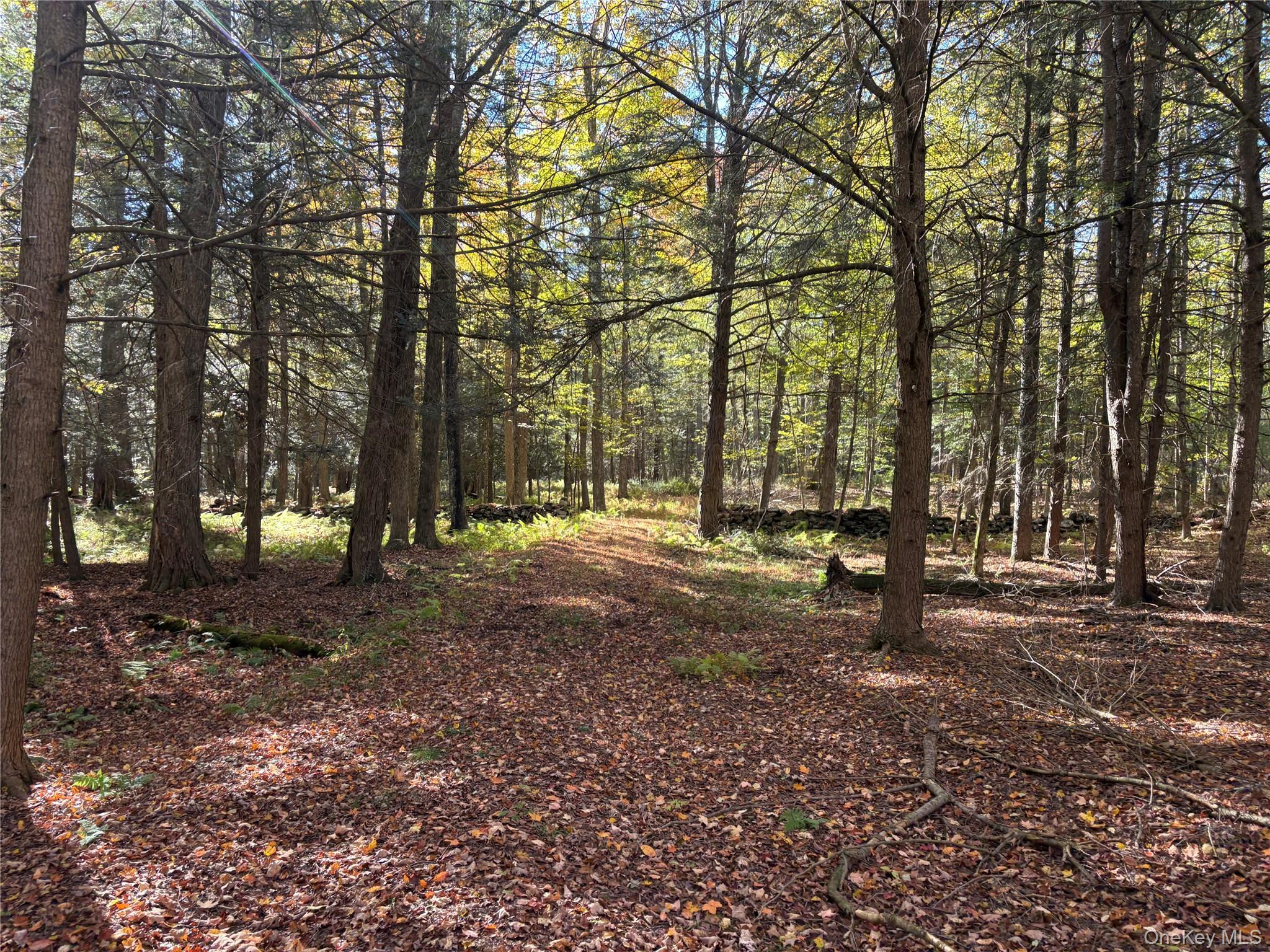 Lot 4 Deer Meadow Road – For Sale photo 8