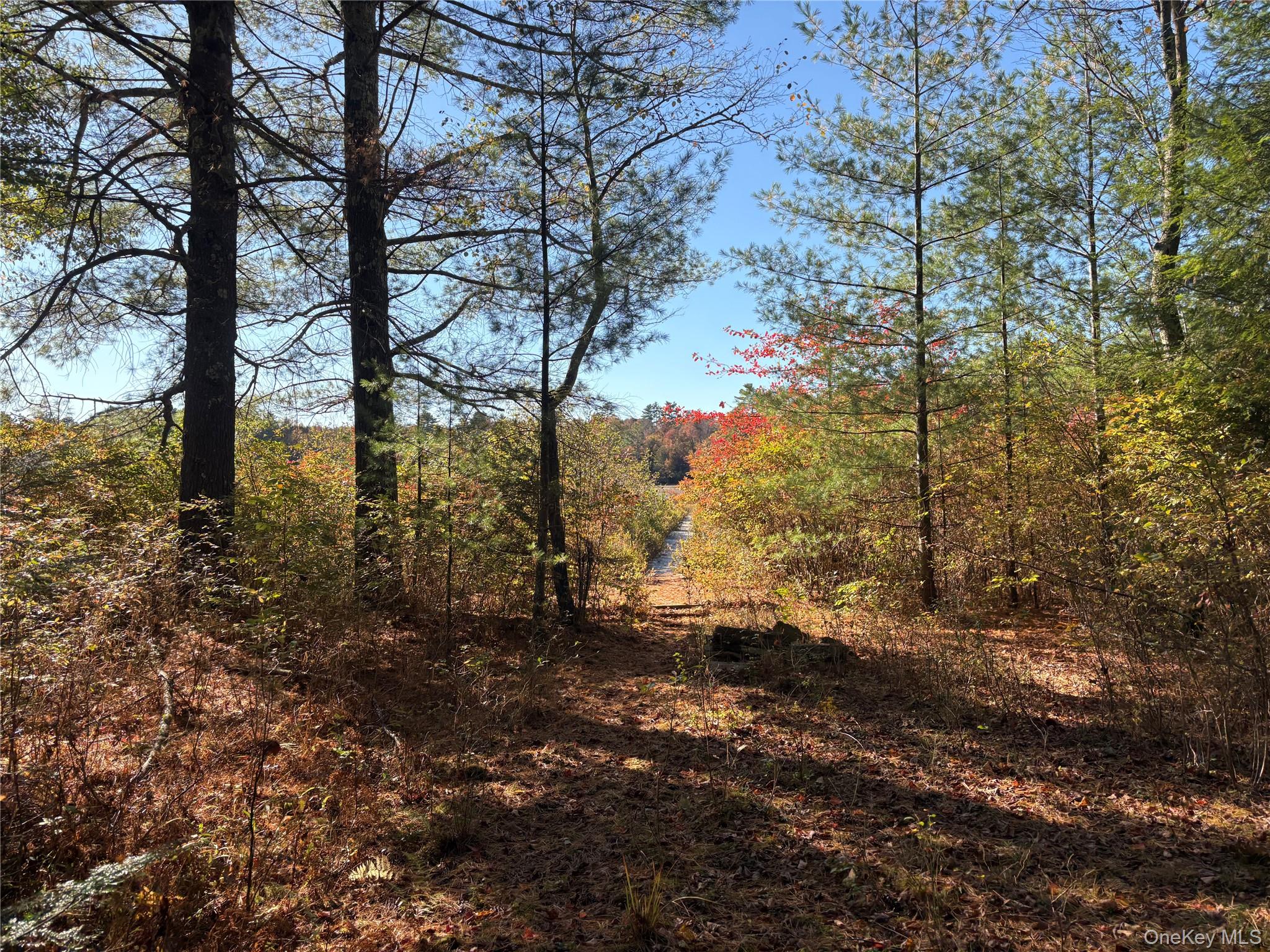 Lot 4 Deer Meadow Road – For Sale photo 4