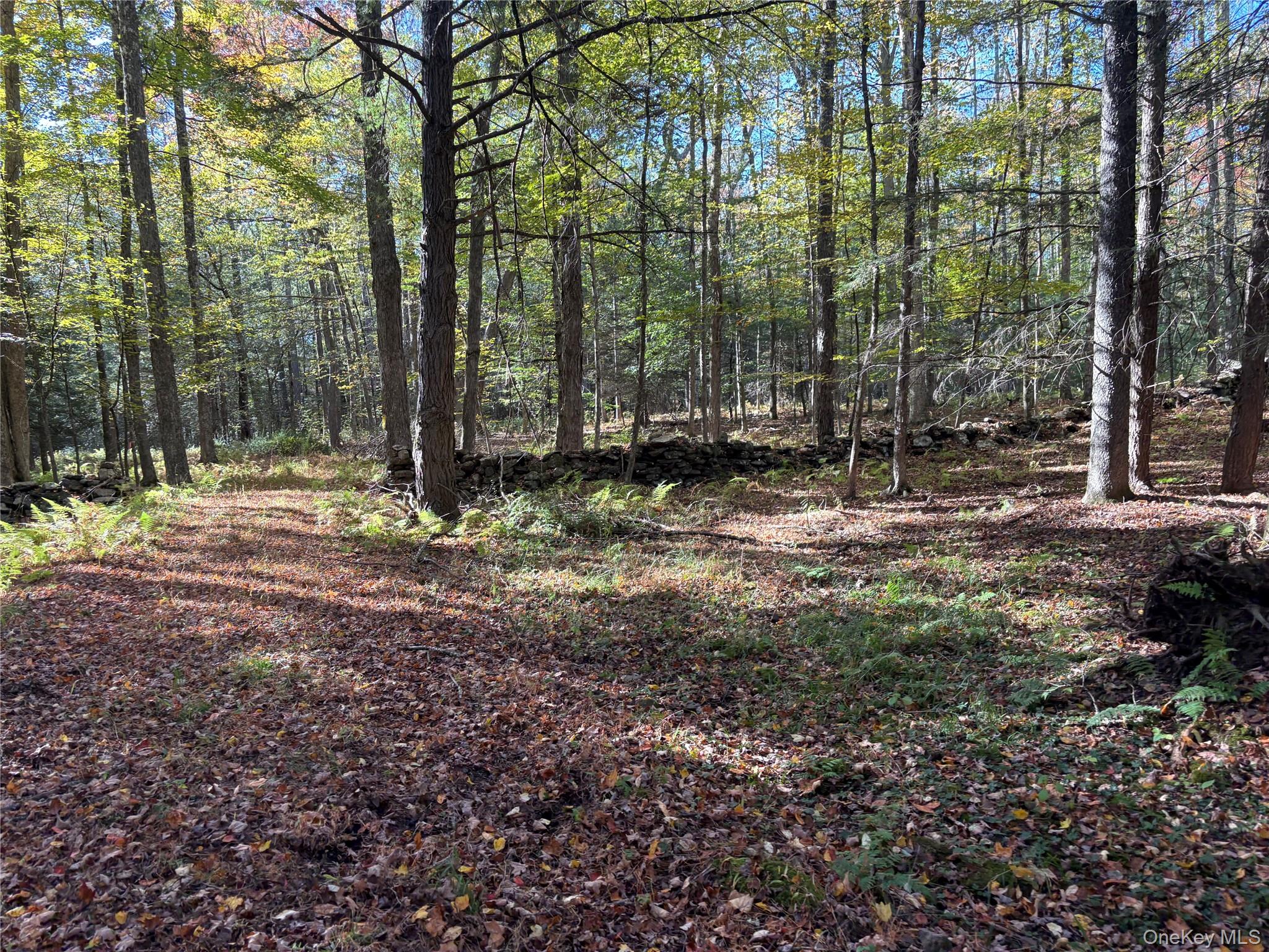 Lot 4 Deer Meadow Road – For Sale photo 9