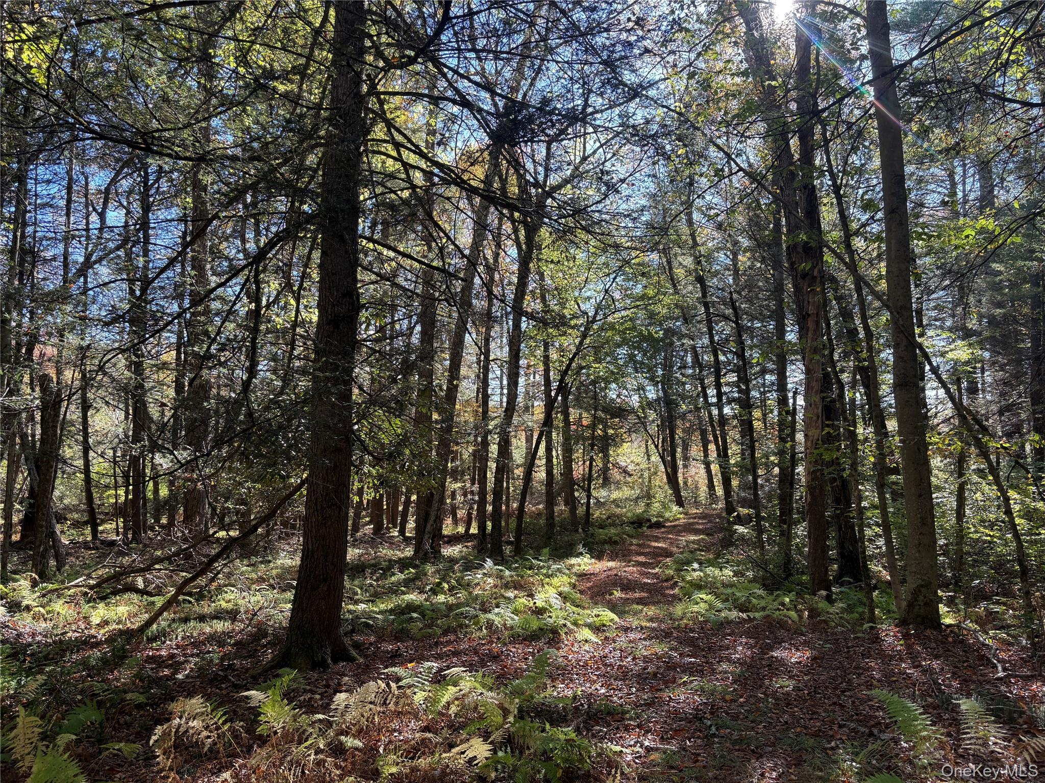 Lot 4 Deer Meadow Road – For Sale photo 11