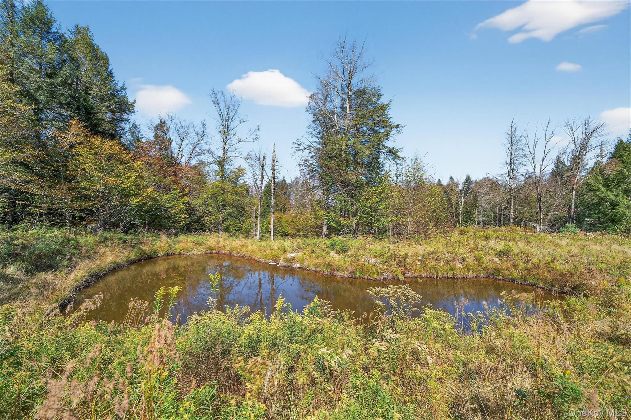 TBD Black Bear Crossing – For Sale photo 8