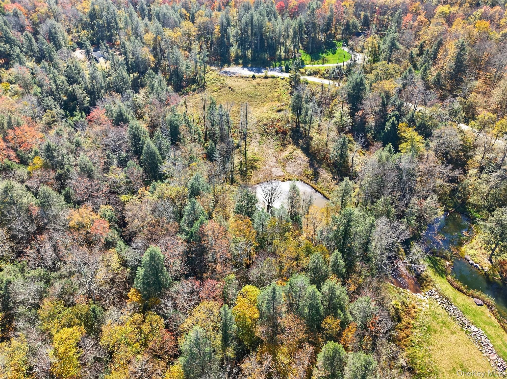 TBD Black Bear Crossing – For Sale photo 11