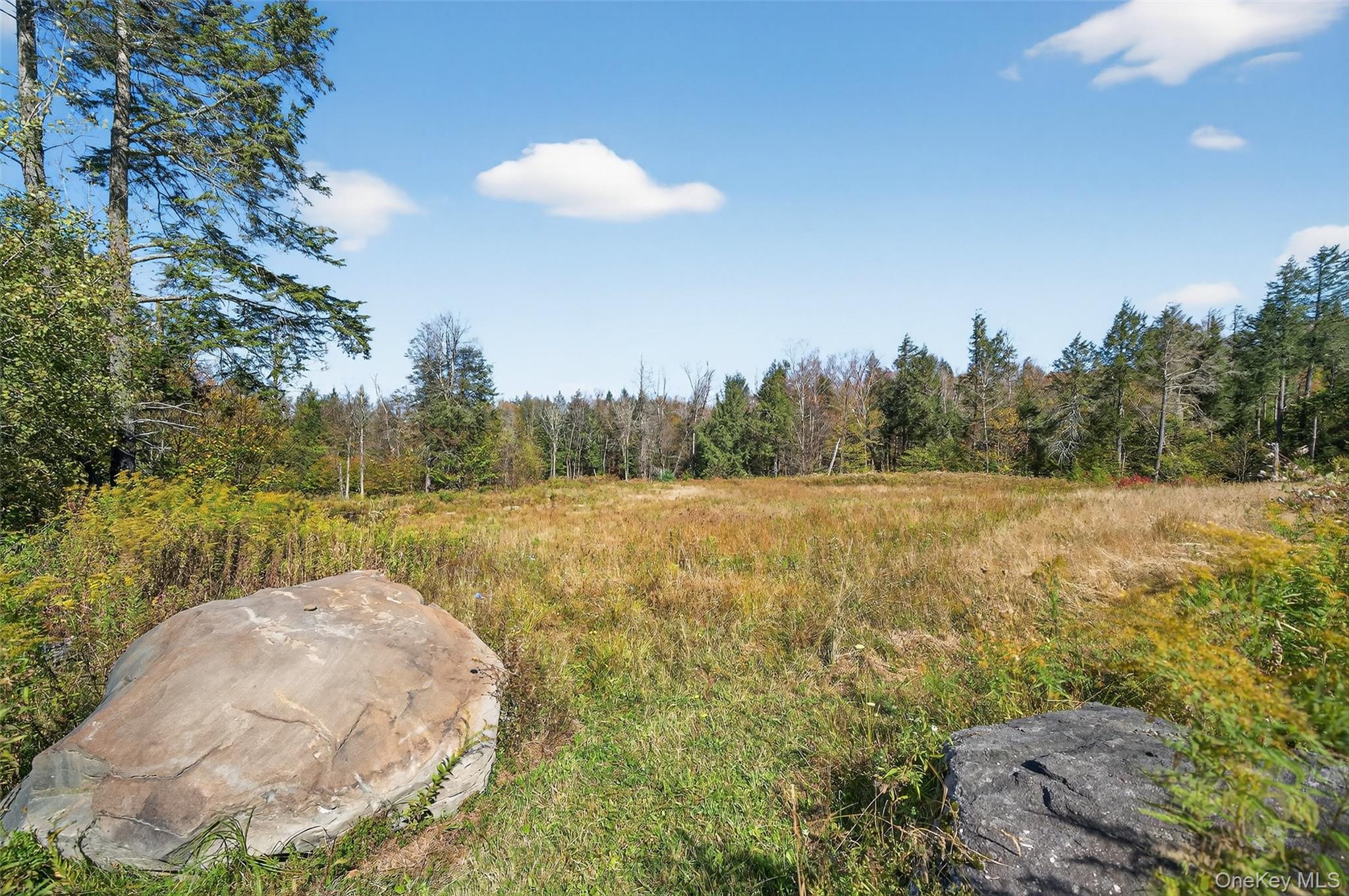 TBD Black Bear Crossing – For Sale photo 6