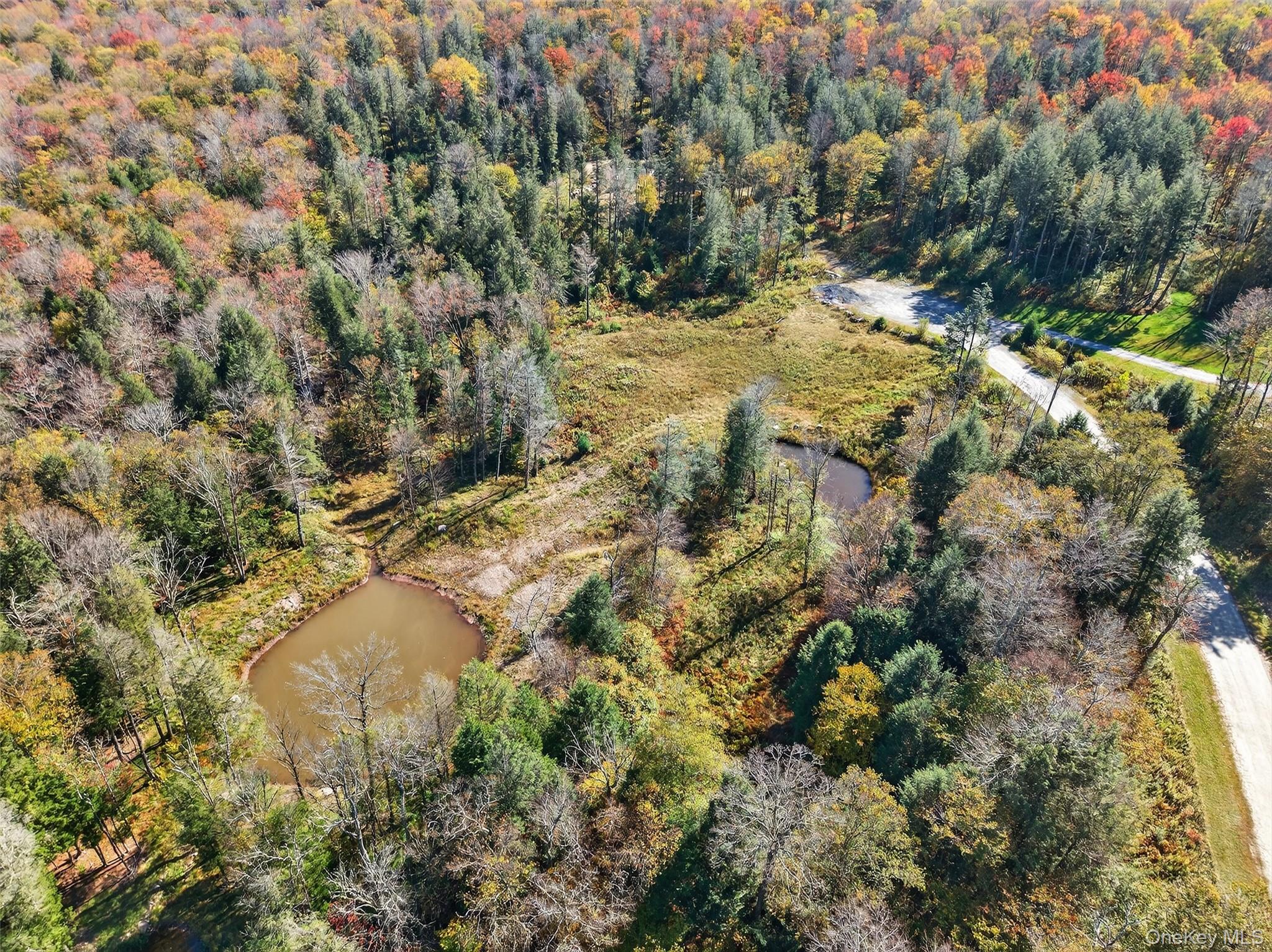 TBD Black Bear Crossing – For Sale photo 3