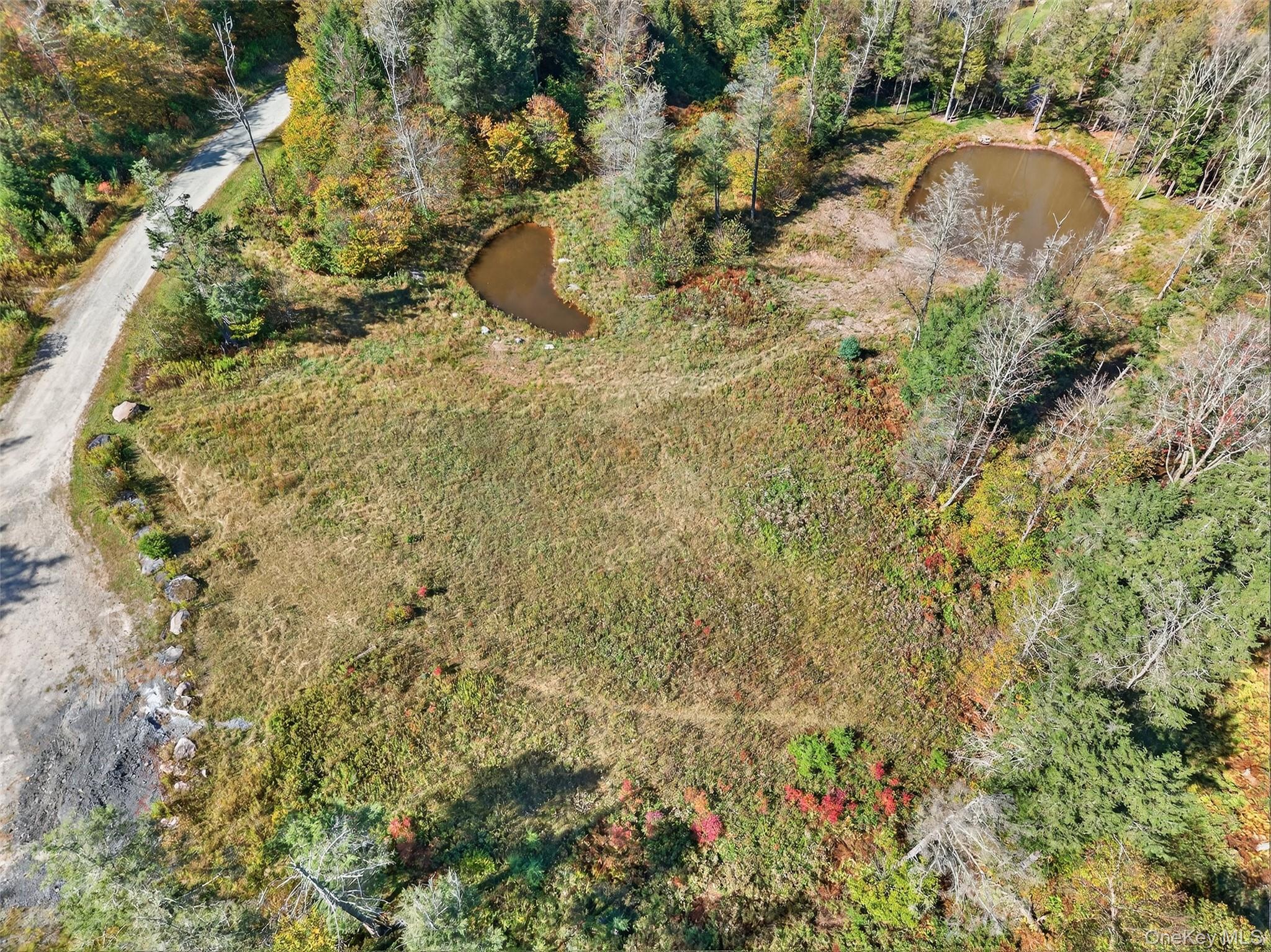 TBD Black Bear Crossing – For Sale photo 4
