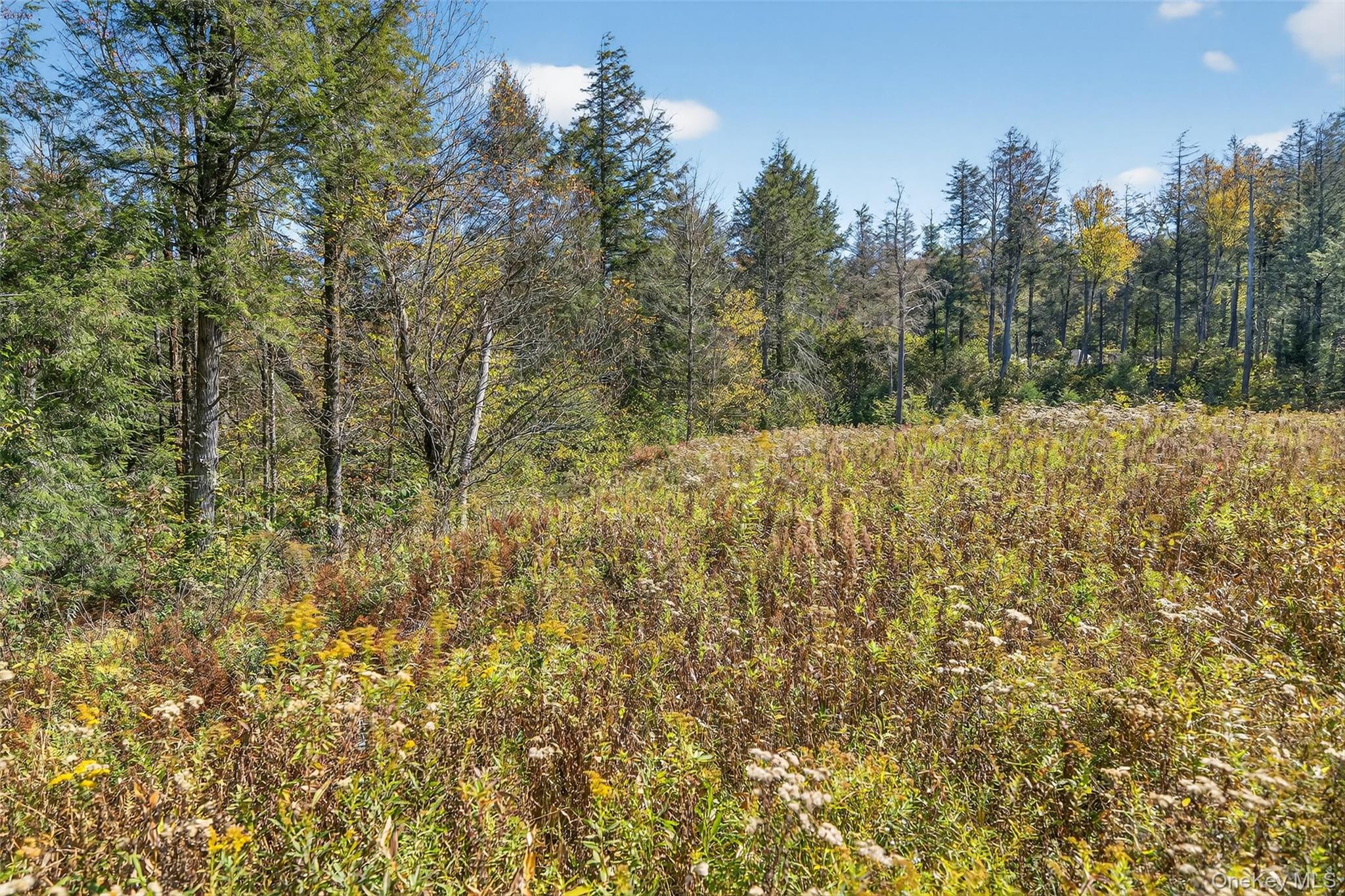 TBD Black Bear Crossing – For Sale photo 10