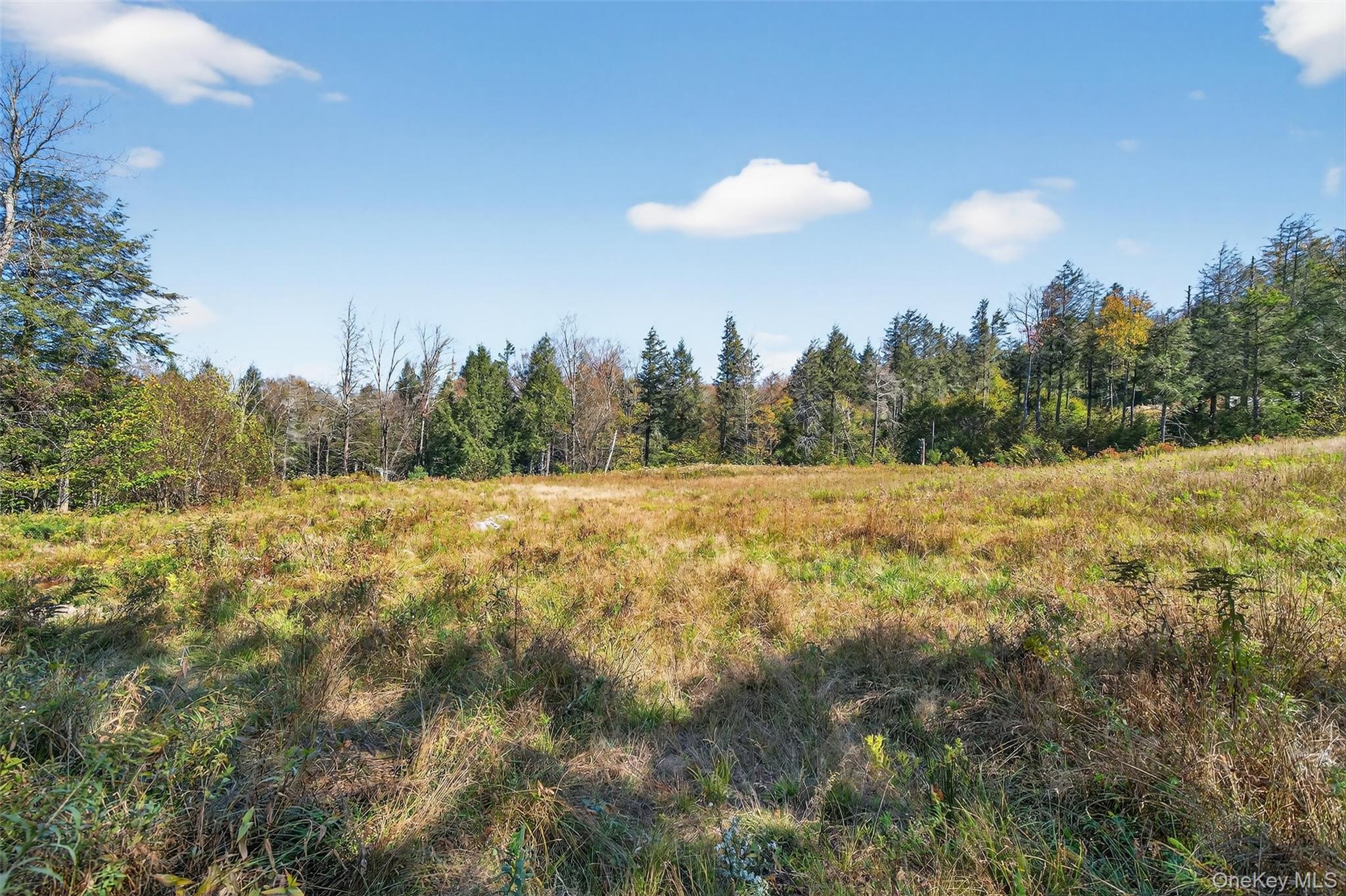 TBD Black Bear Crossing – For Sale photo 7