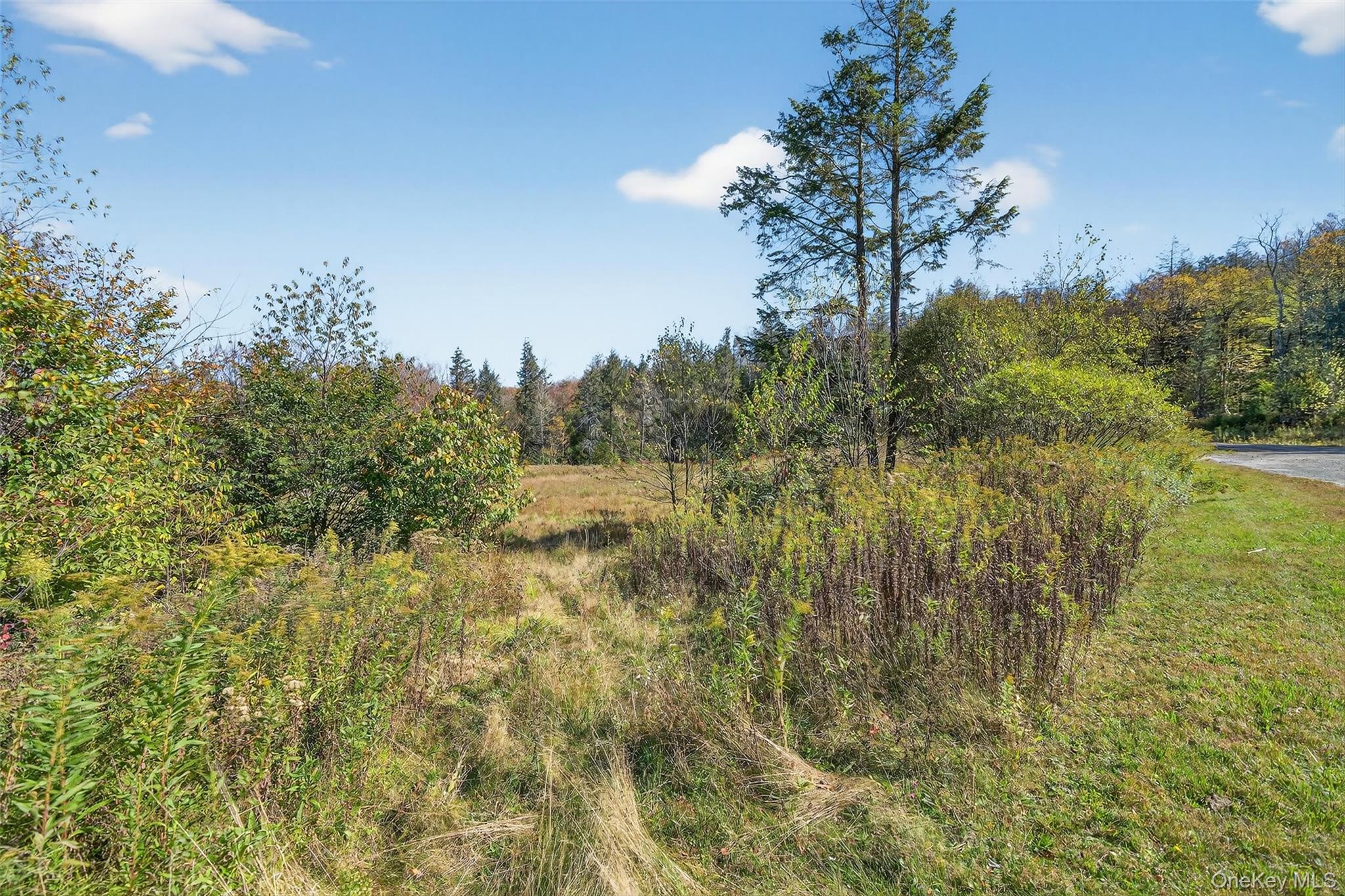 TBD Black Bear Crossing – For Sale photo 5