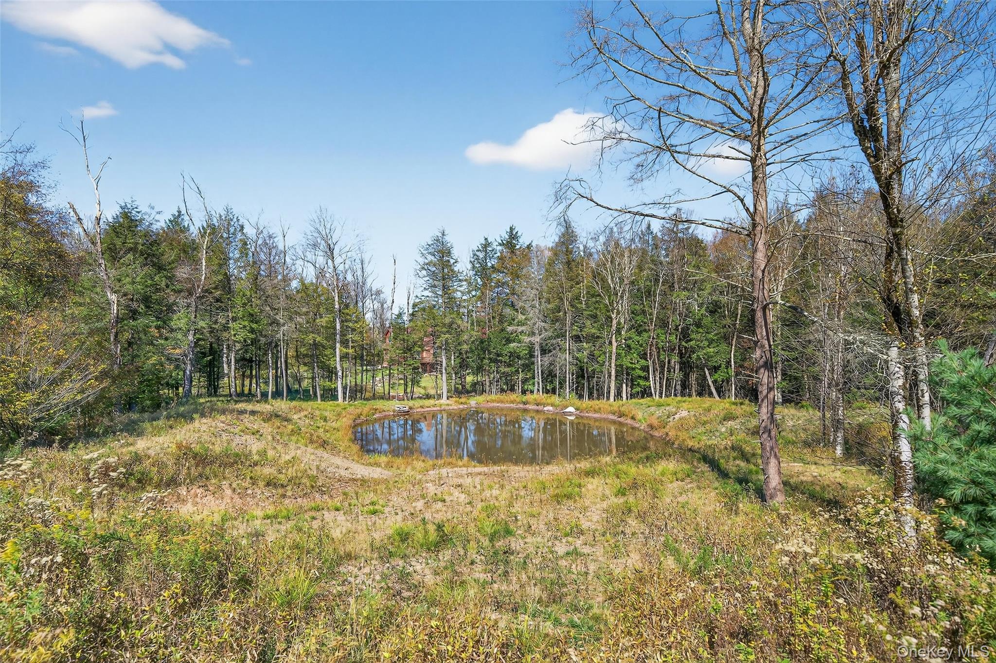 TBD Black Bear Crossing – For Sale photo 9