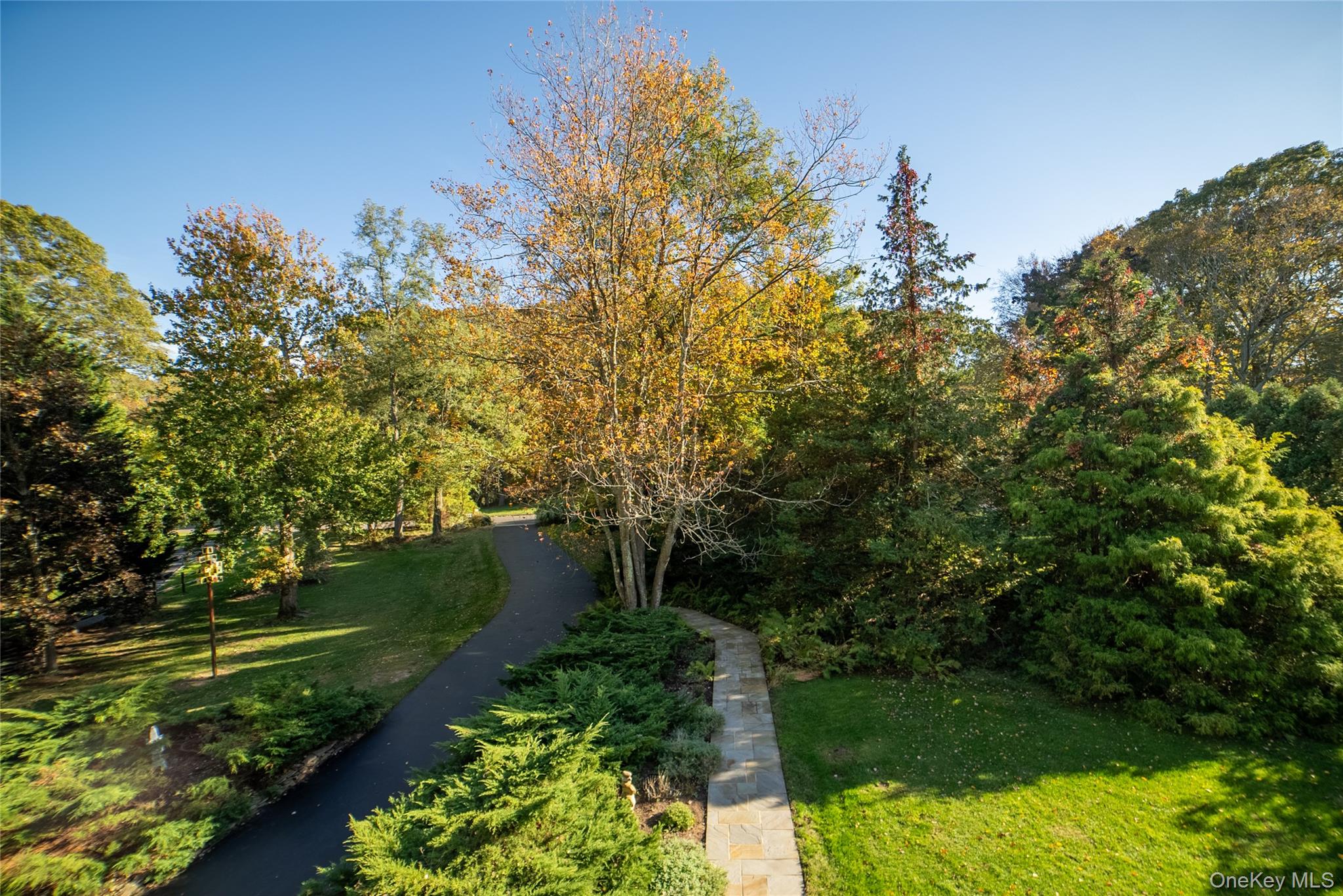 30 Long Bow – For Sale photo 15