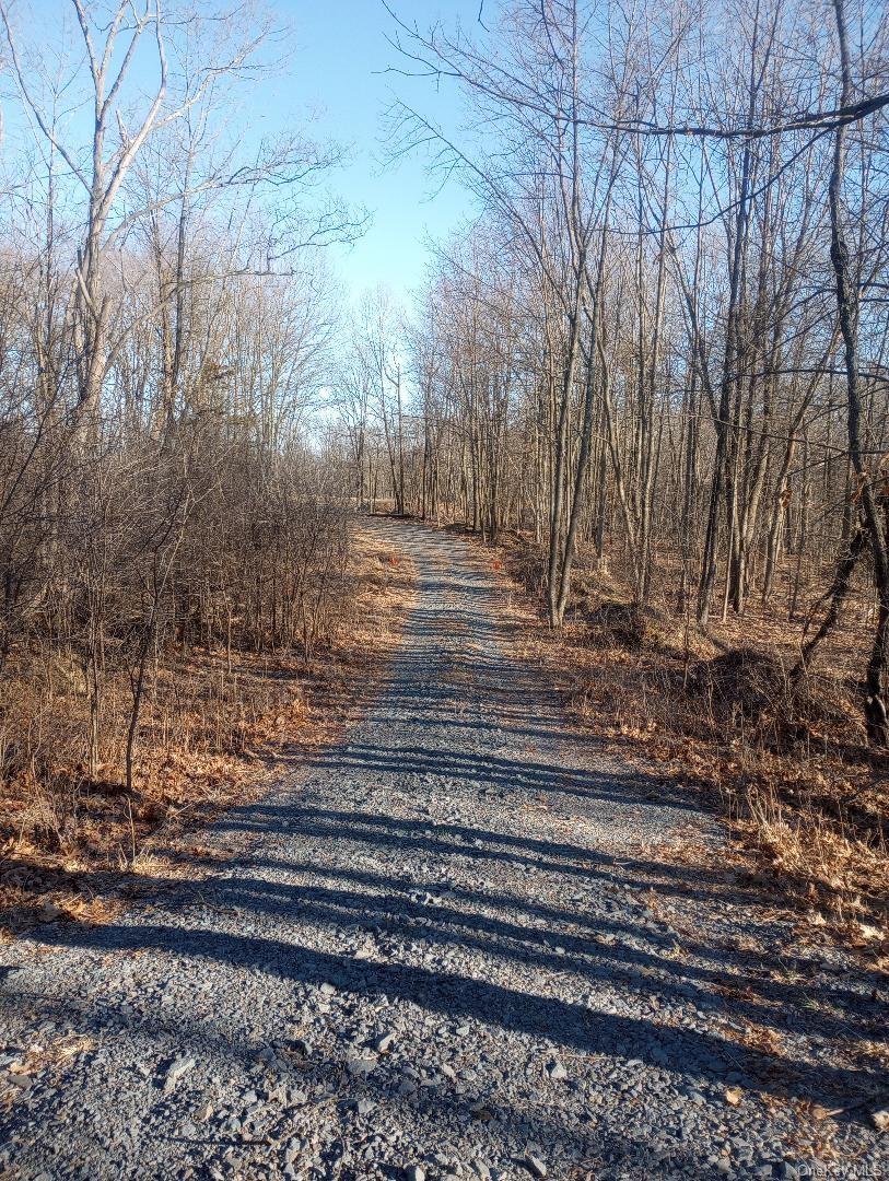 Myers RD. Westtown, NY 10 Myers Road – For Sale photo 8